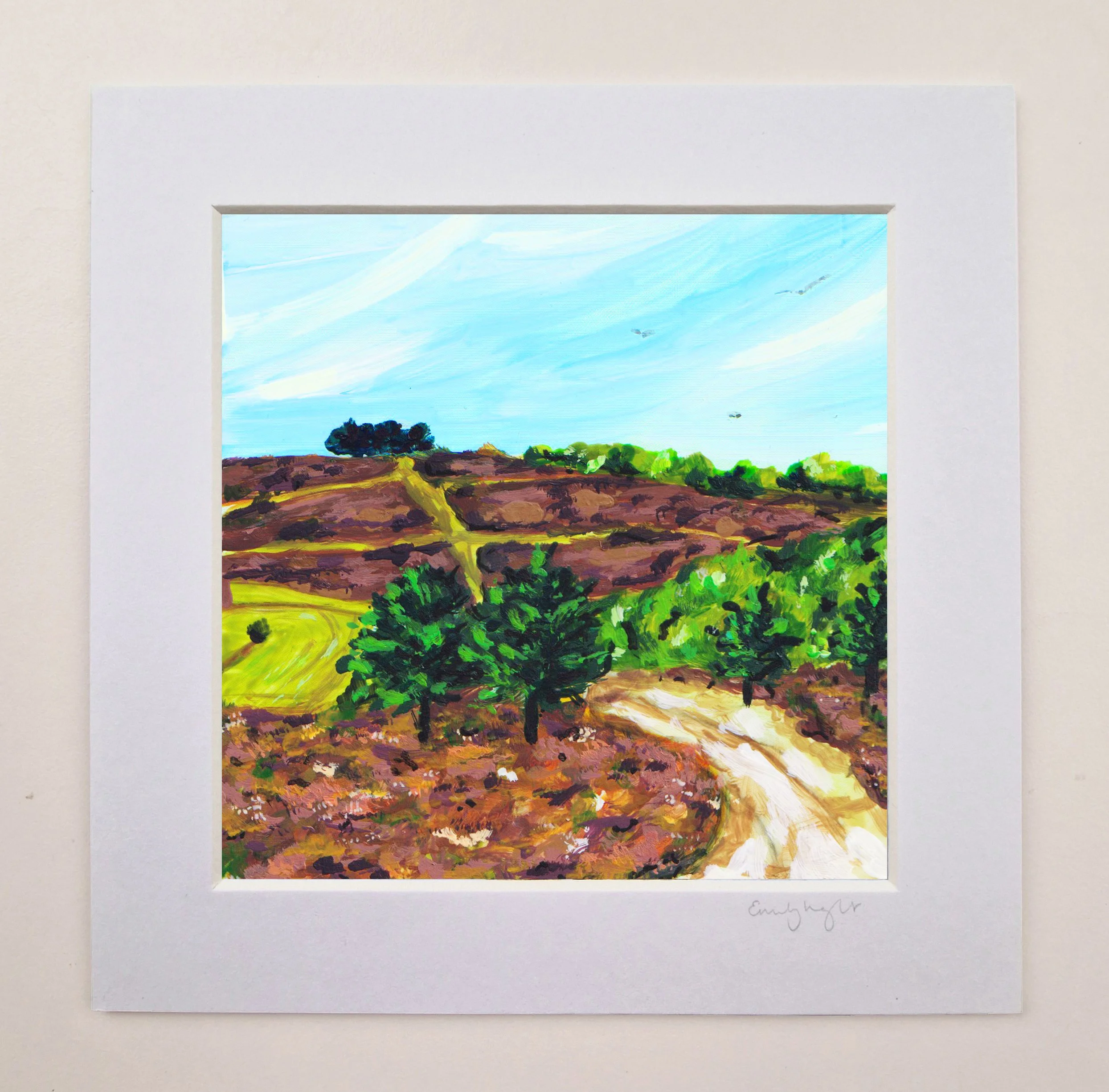 Ashdown Forest 2.jpg