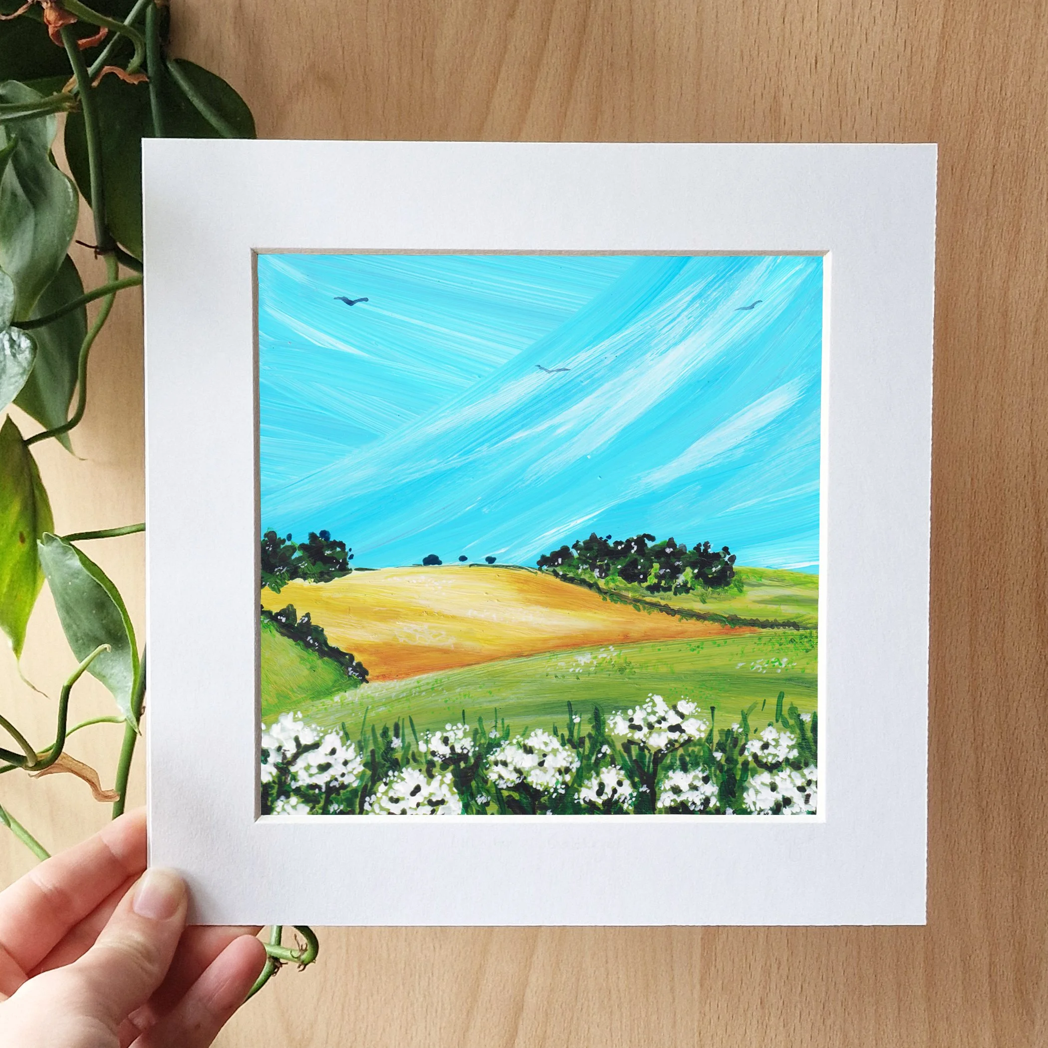 Country Fields 2.jpg