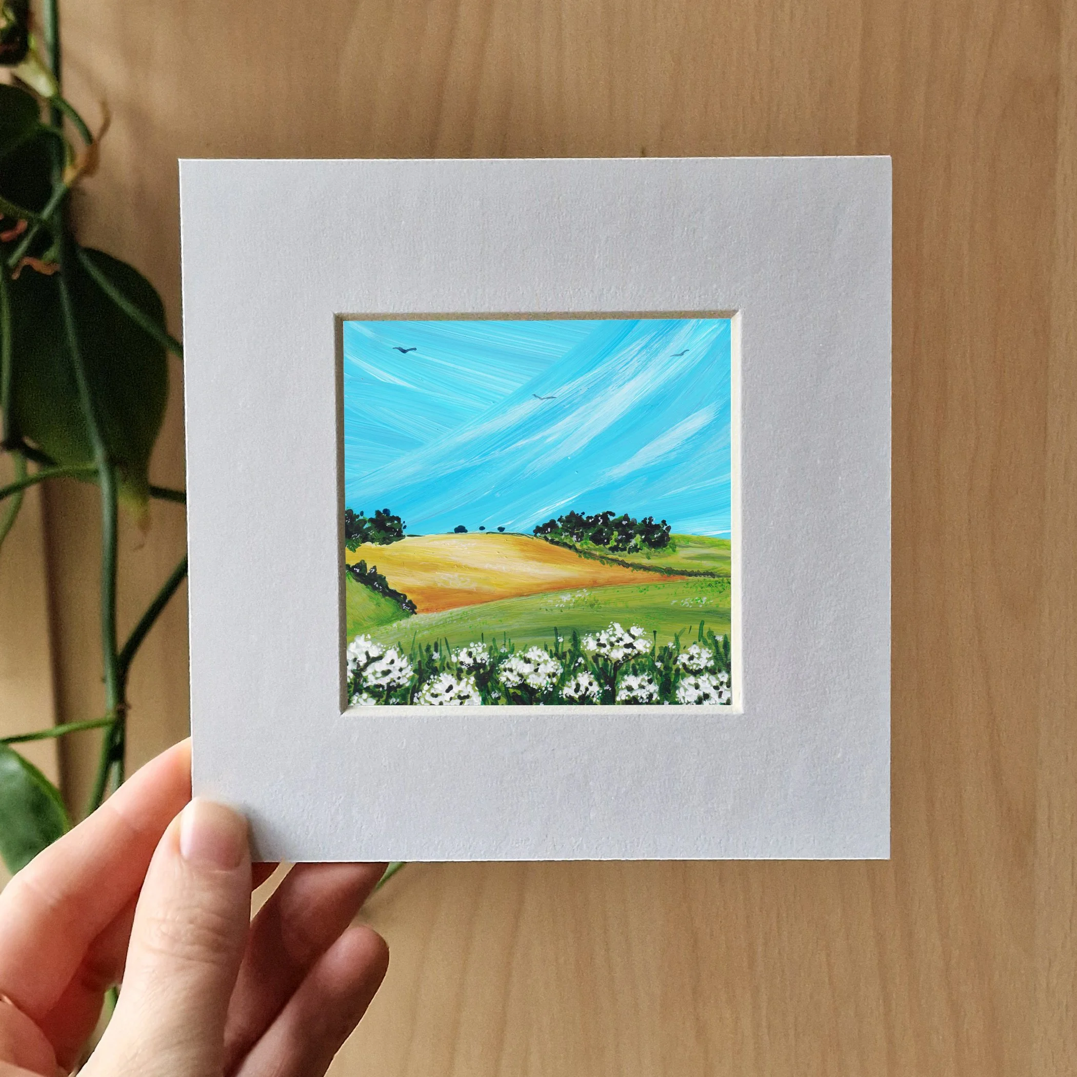 Country Fields 8.jpg