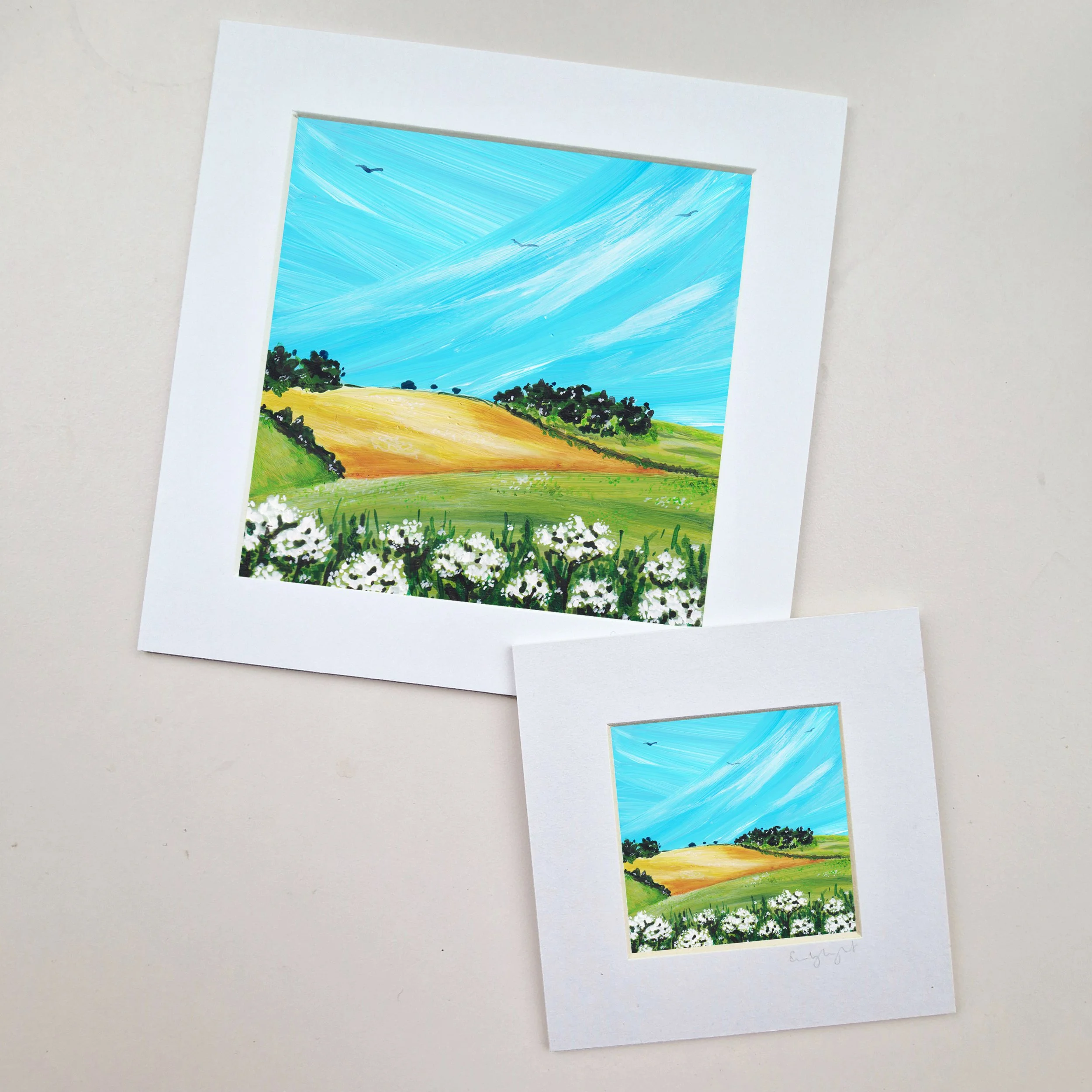 Country Fields 3.jpg