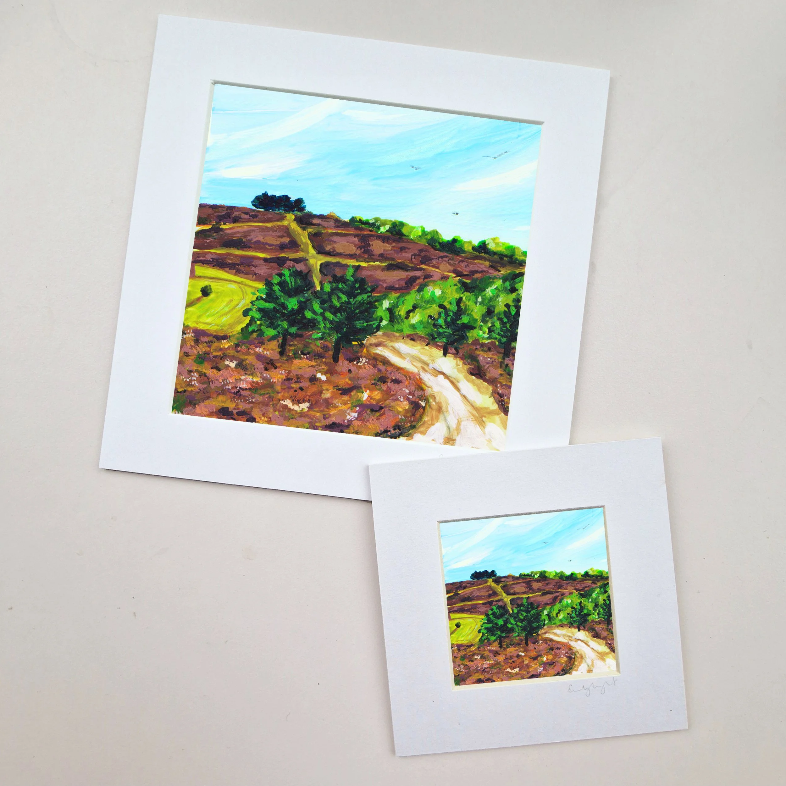 Ashdown Forest 6.jpg