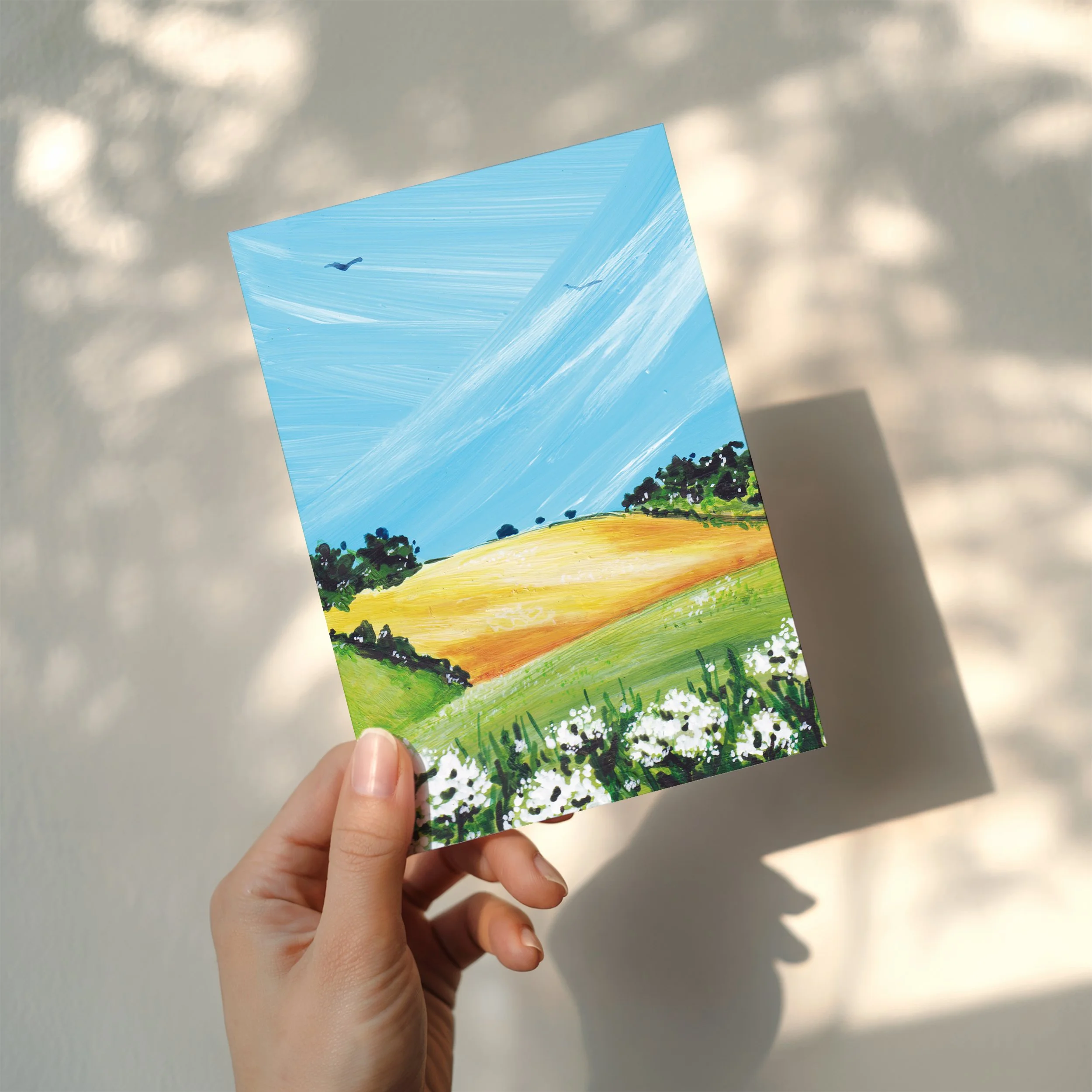 Country Fields 12.jpg