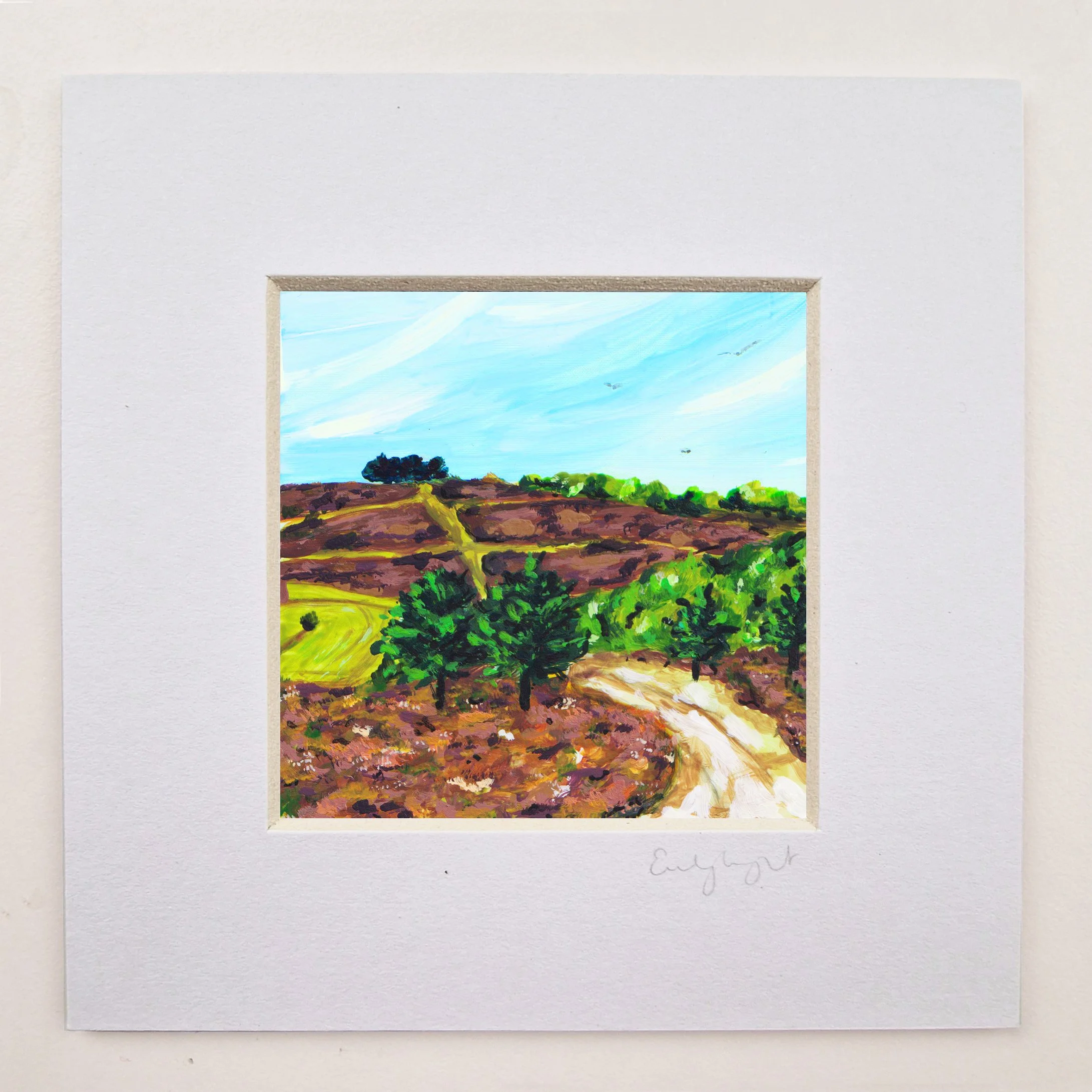 Ashdown Forest 1.jpg
