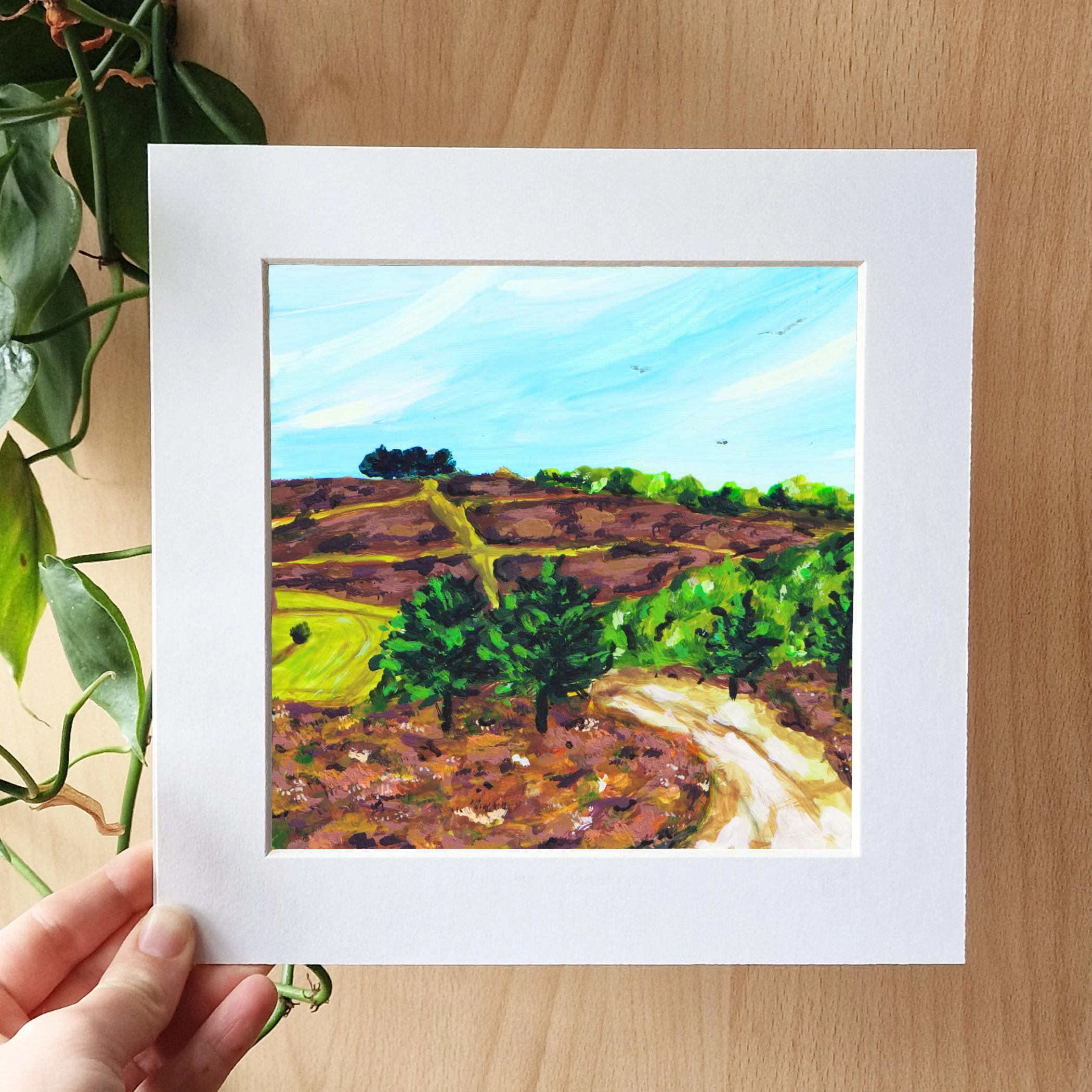 Ashdown Forest 8.jpg