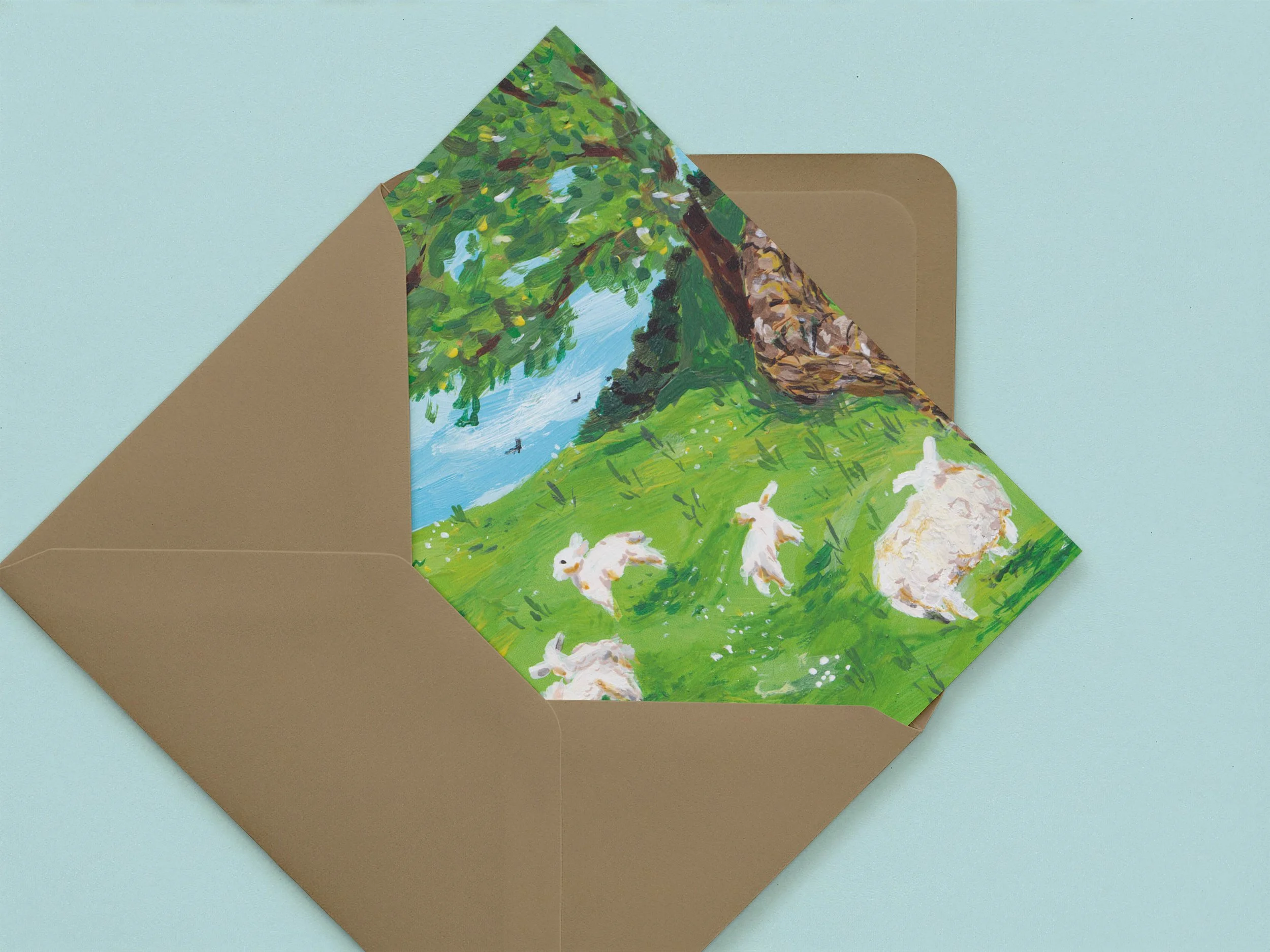 Lambs 11.jpg