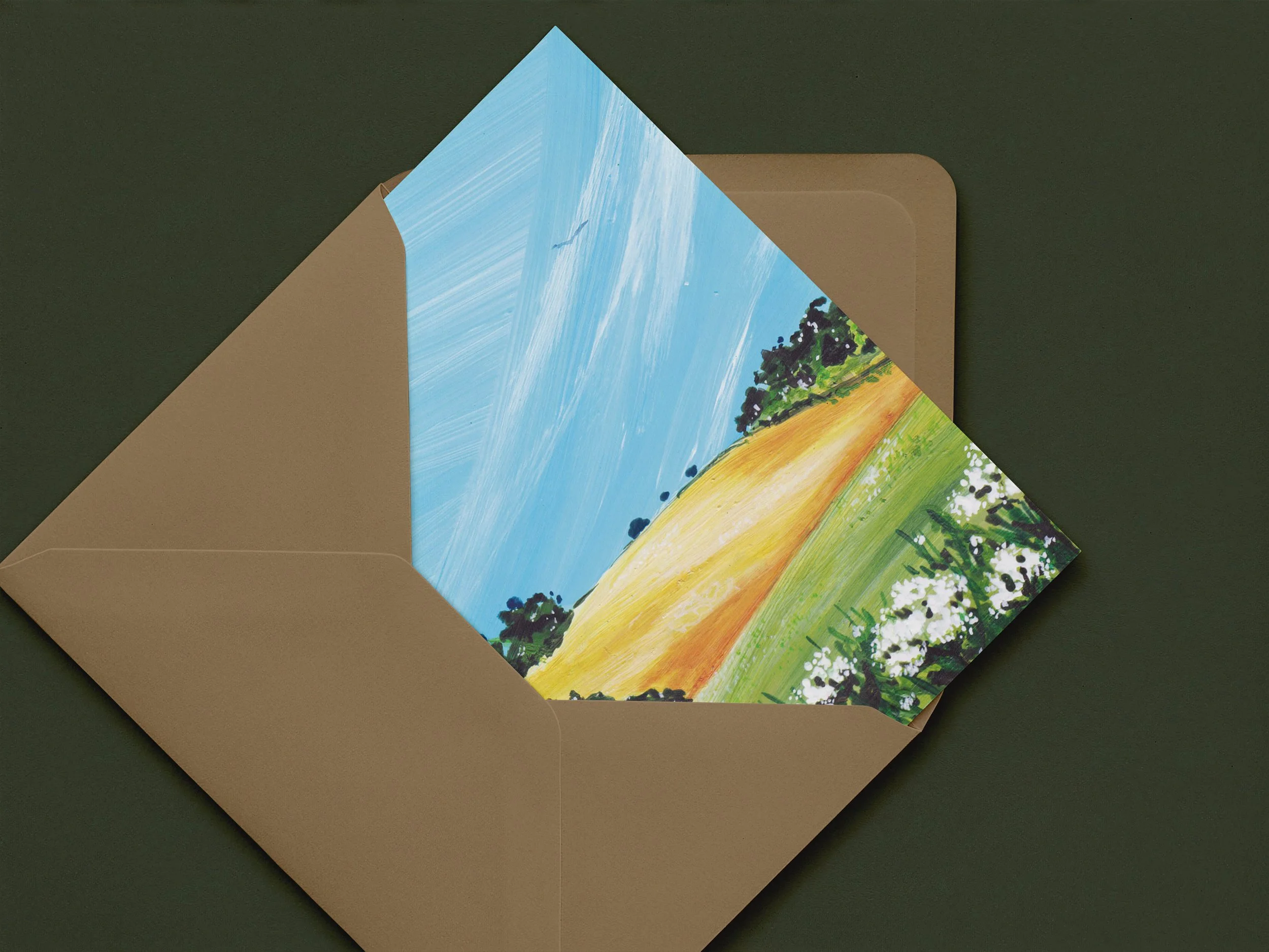Country Fields 14.jpg