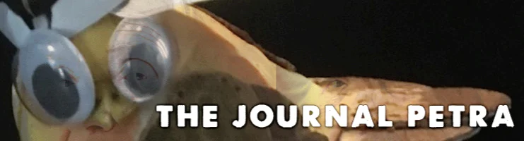 issue_8.jpg
