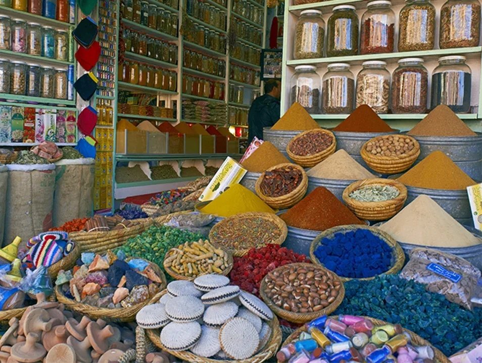 SINGLE  ROOM DEPOSIT - SENEGAL & MOROCCO 08/26/26 - 09/01/26