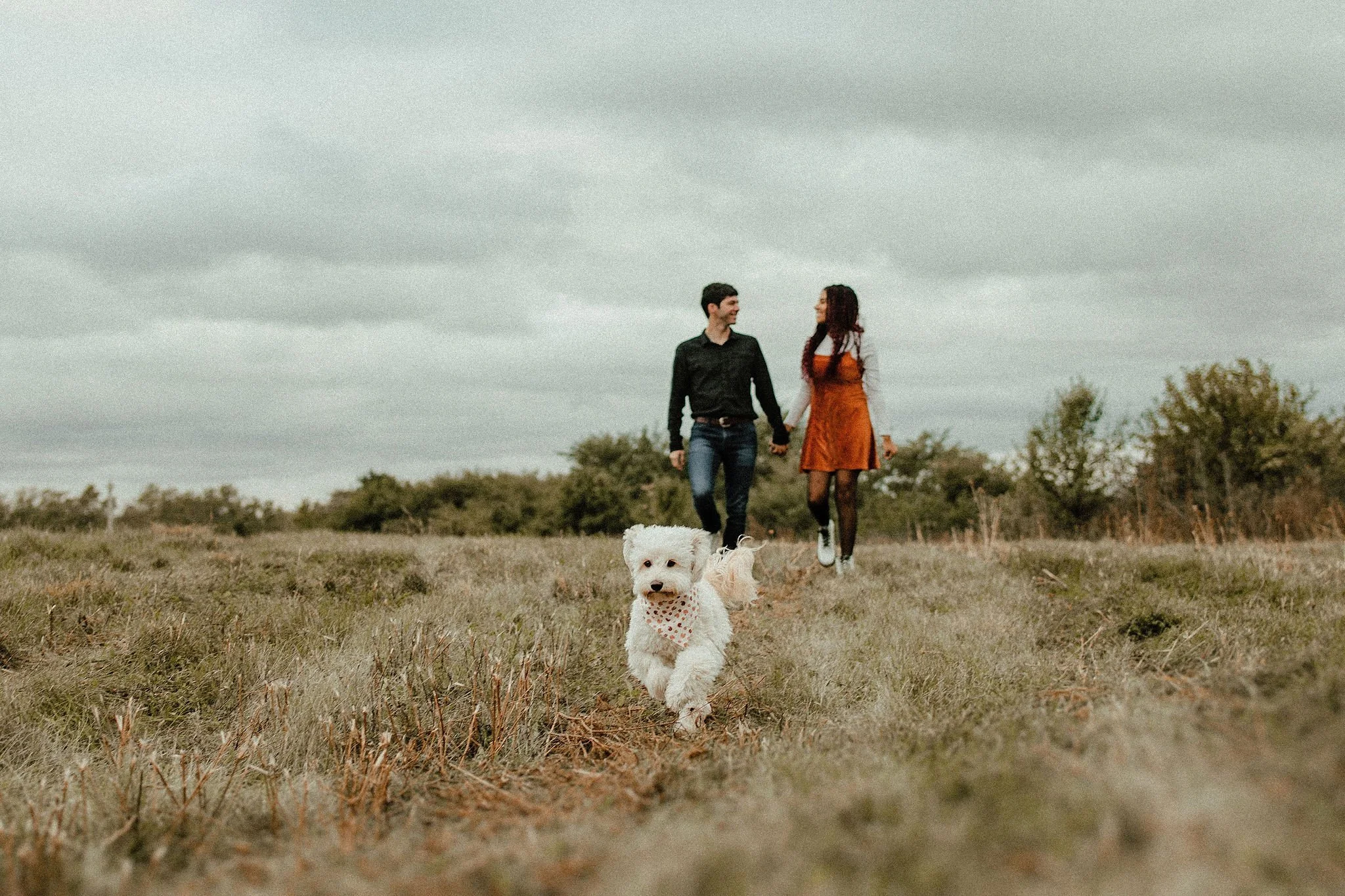 winston + pawrents | pup session