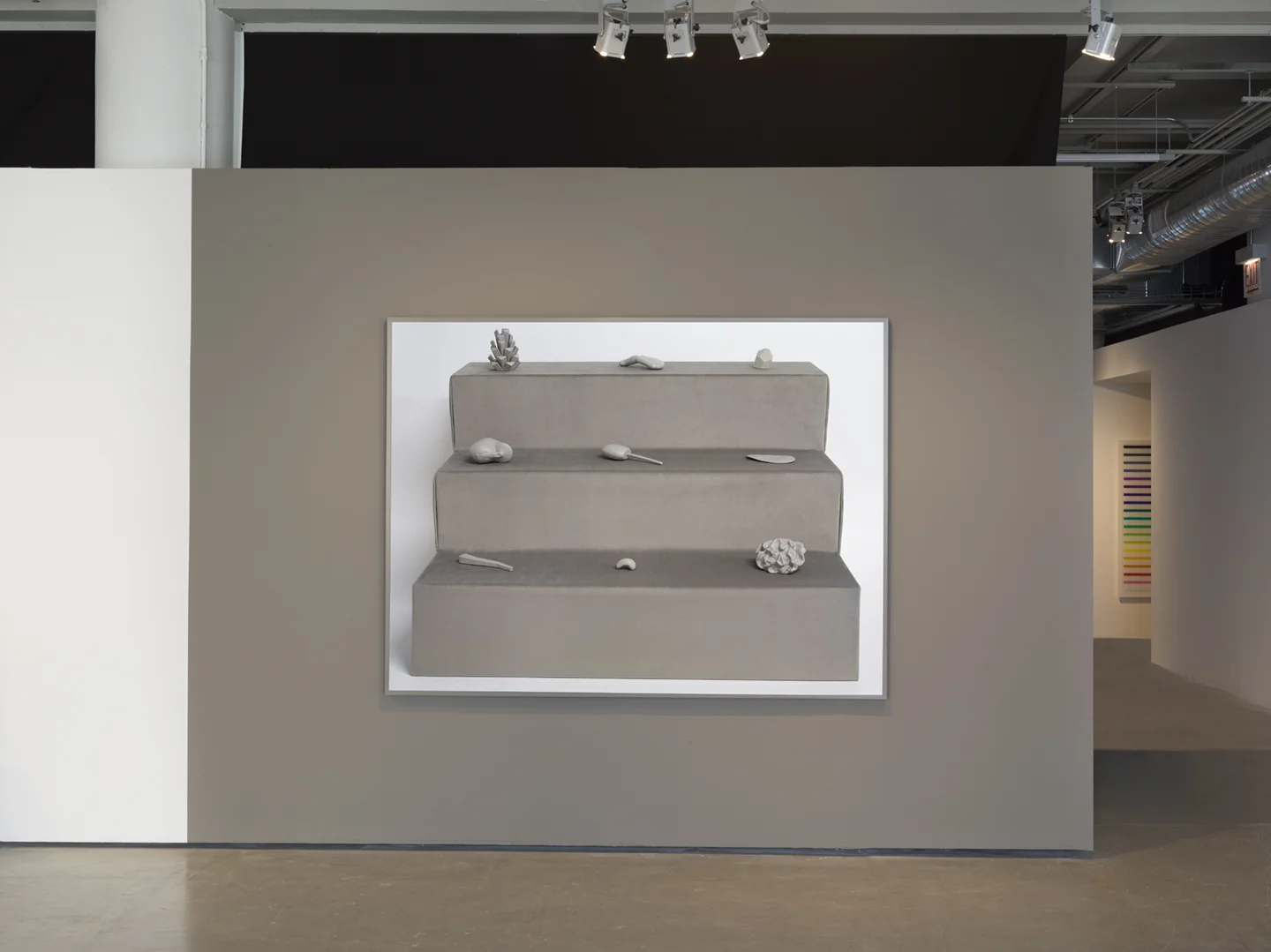 installation view of It's a Poor Sort of Memory That Only Works Backwards at Sullivan Galleries, framed archival pigment print mounted on aluminum, 2018