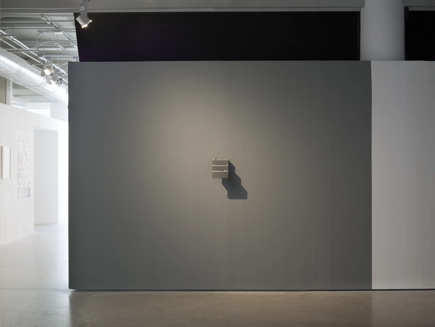 installation view of It's a Poor Sort of Memory That Only Works Backwards at Sullivan Galleries, velvet, MDF, PLA plastic, 2018