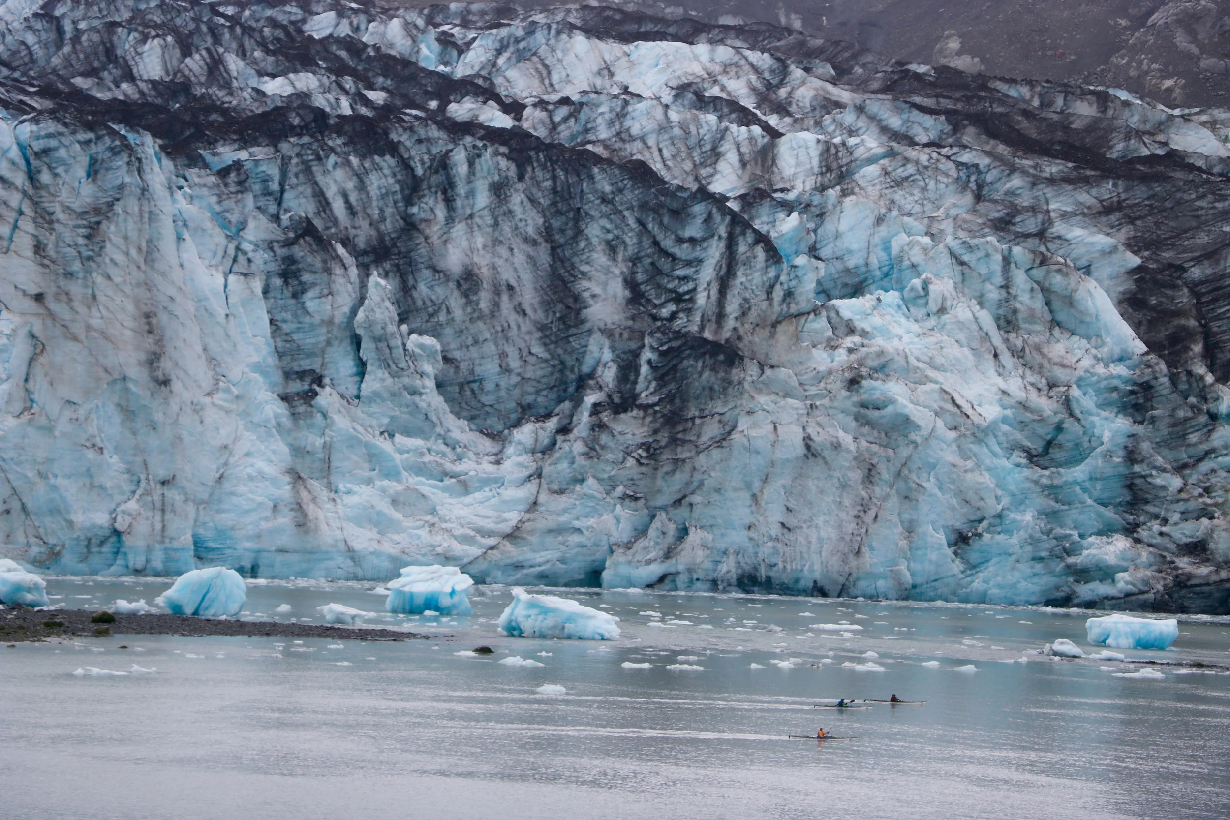 IMG_3319.jpg
