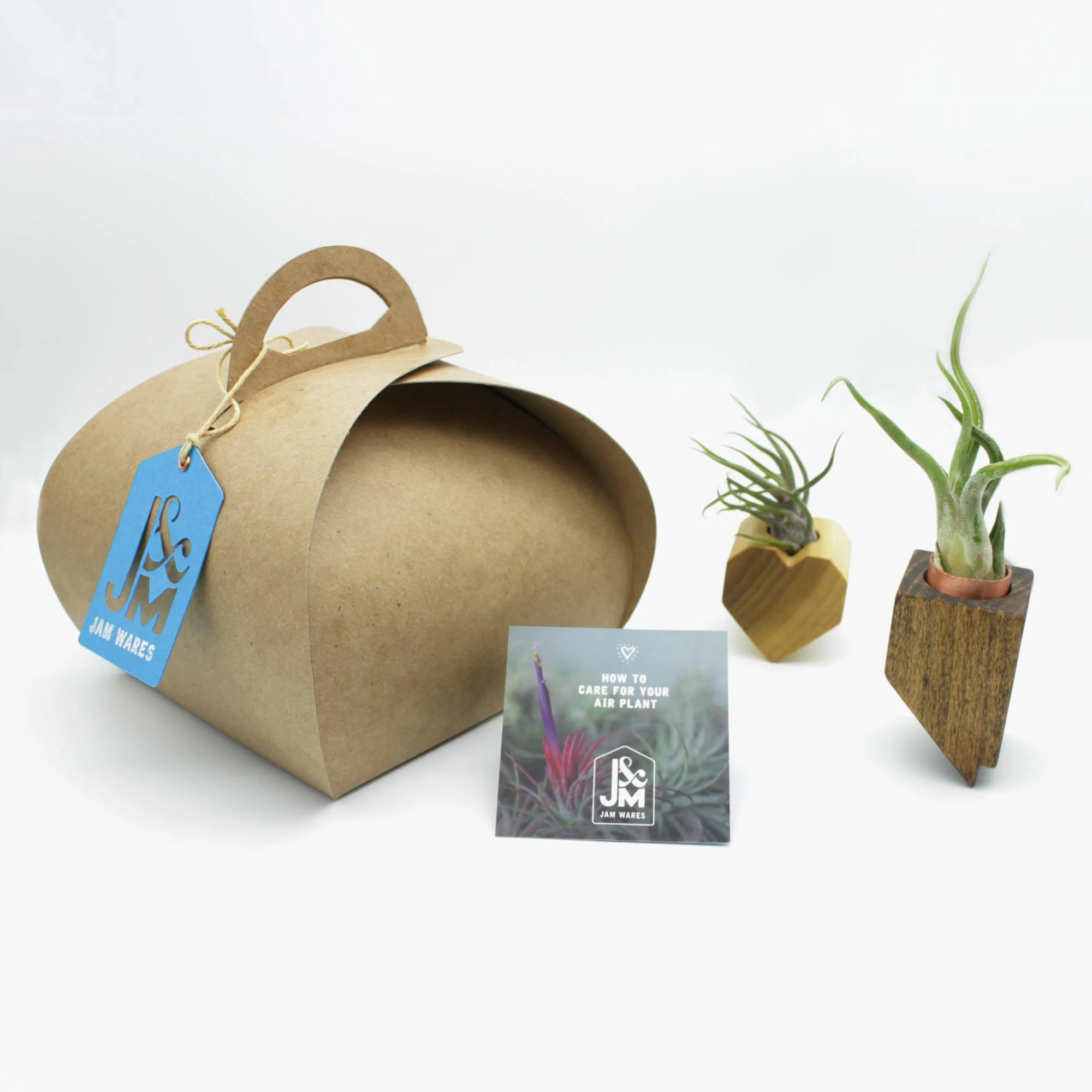 JAMWares_GiftWrap_TulipBox.jpg