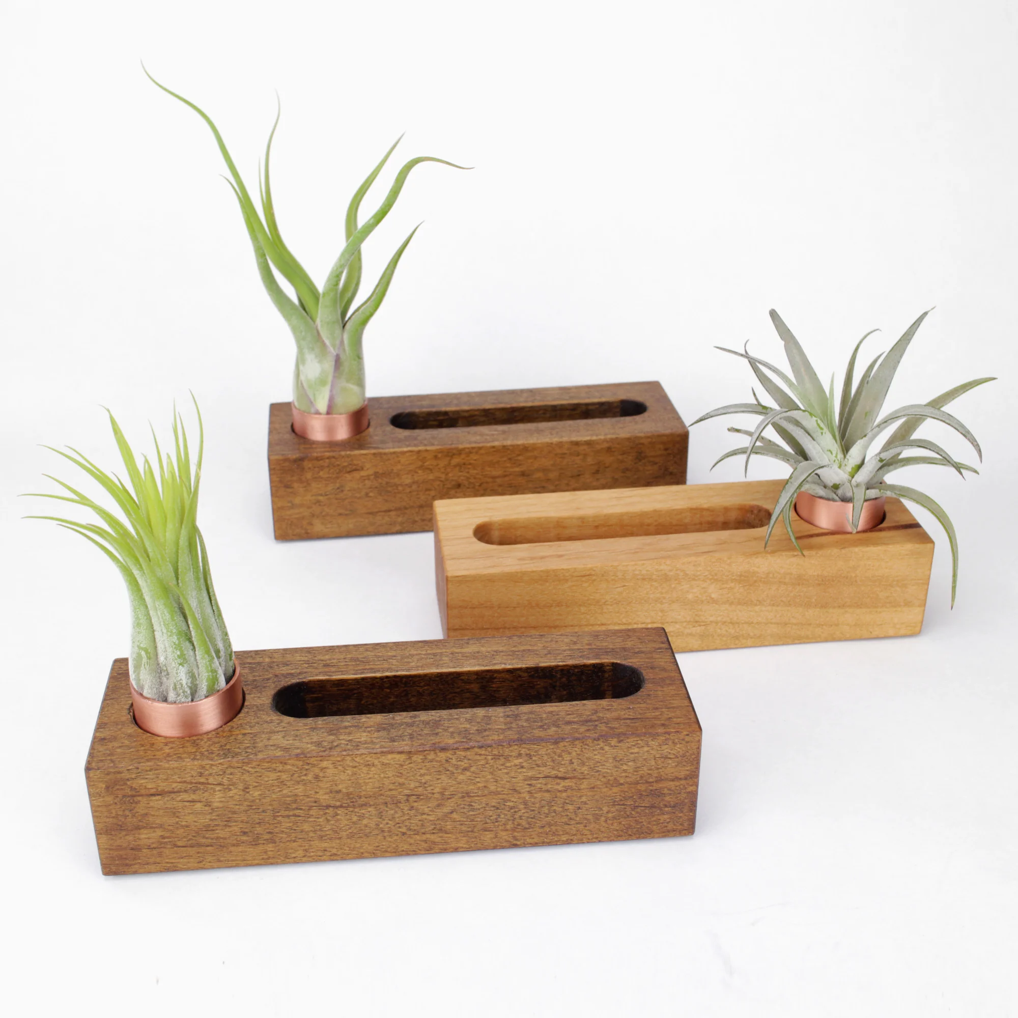 JAMWares_BizCardHolder_PlantVariation.jpg