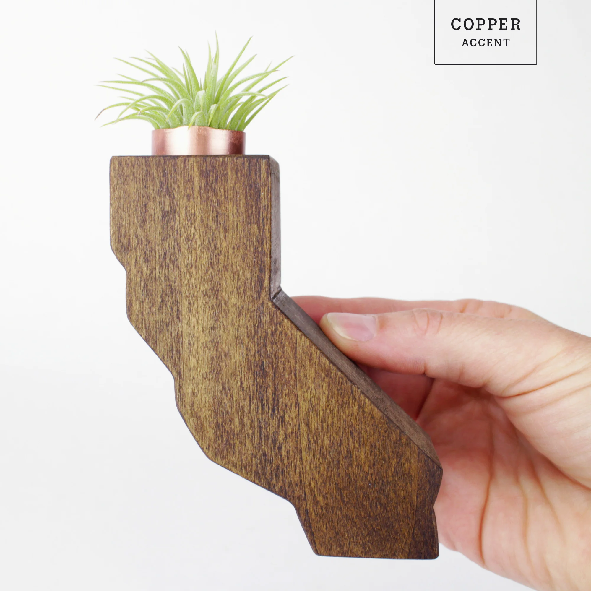 JAMWares_California_Copper.jpg