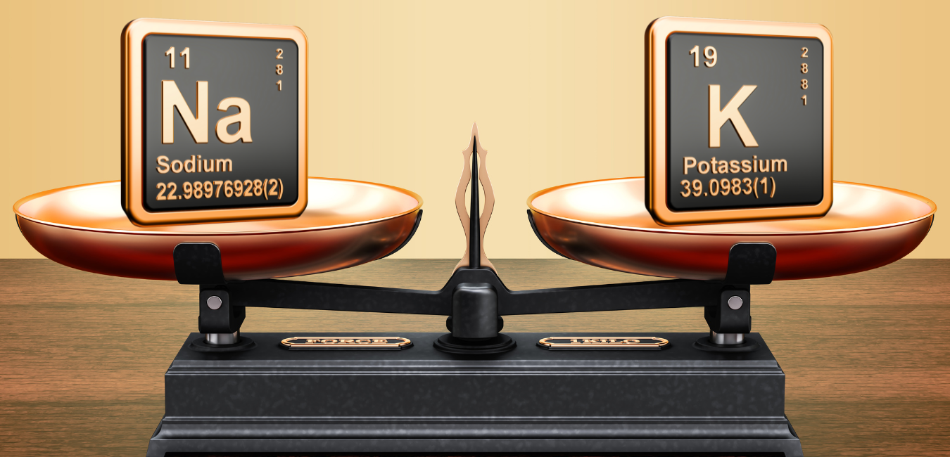 Balancing Sodium and Potassium