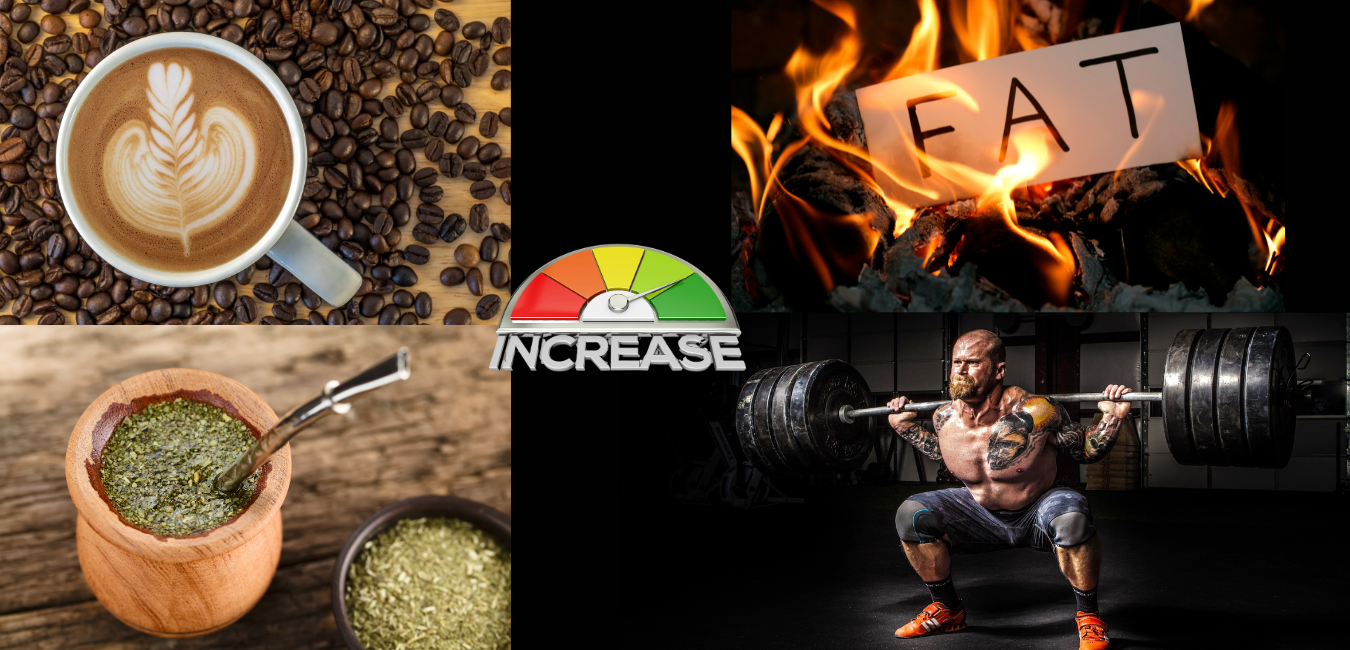 Holistic Content.png