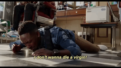 giphy-1.gif