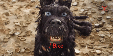 giphy-4.gif