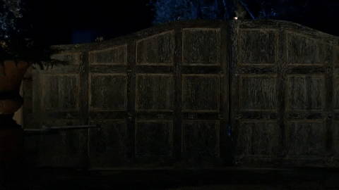 connor s.gif