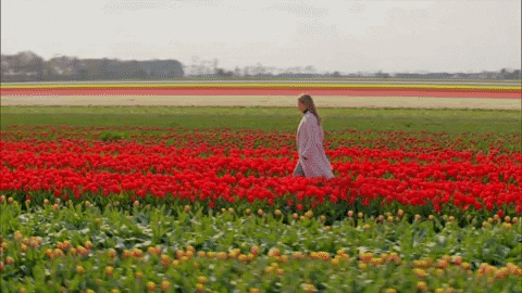 Or she was allergic to all deez tulips