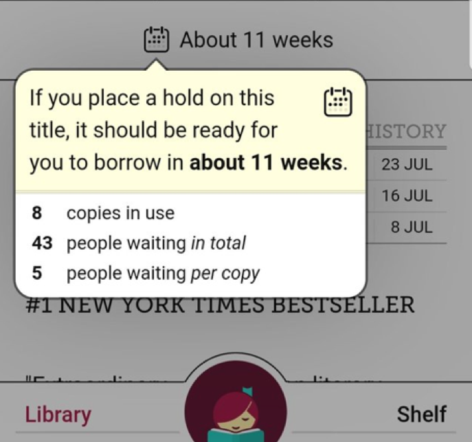 Screenshot from my Libby account