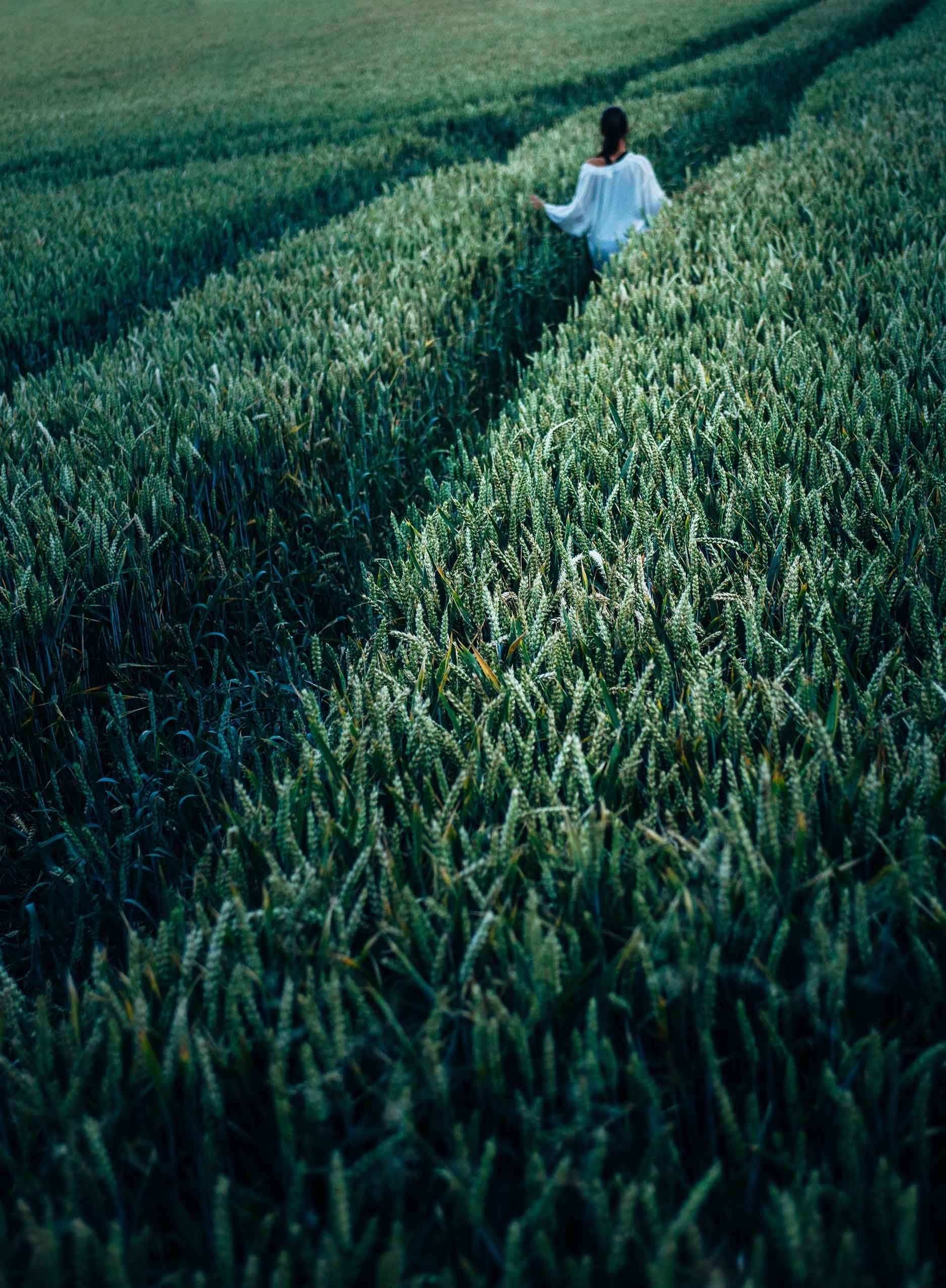 field 3.jpg