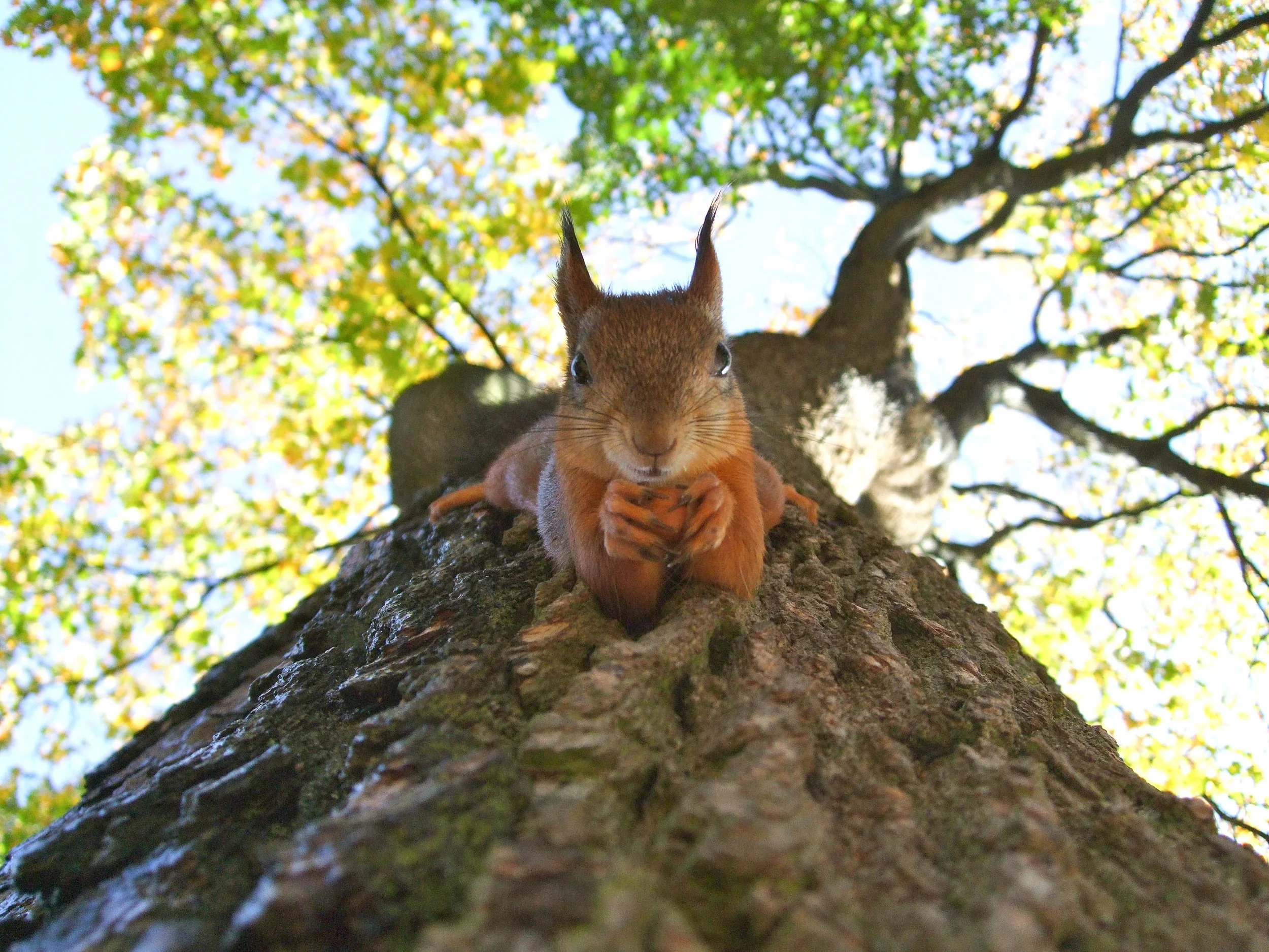 Photo by Toimetaja Tõlkebüroo via Unsplash .