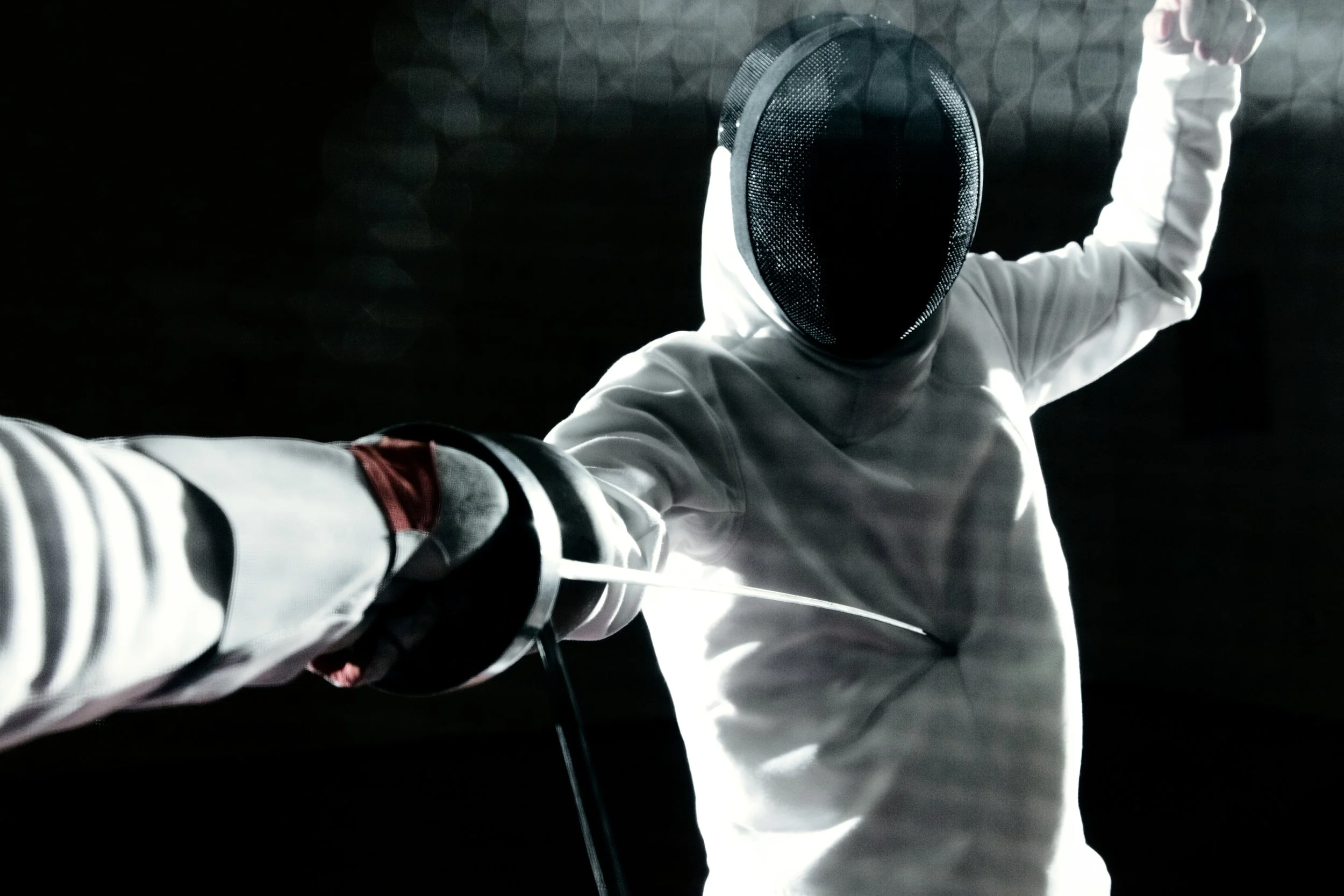Veterans Fencing World Championship 2017 Oblikovanje: wild