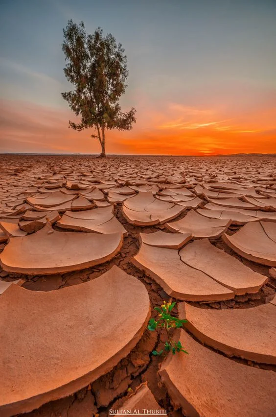 desert2.jpg
