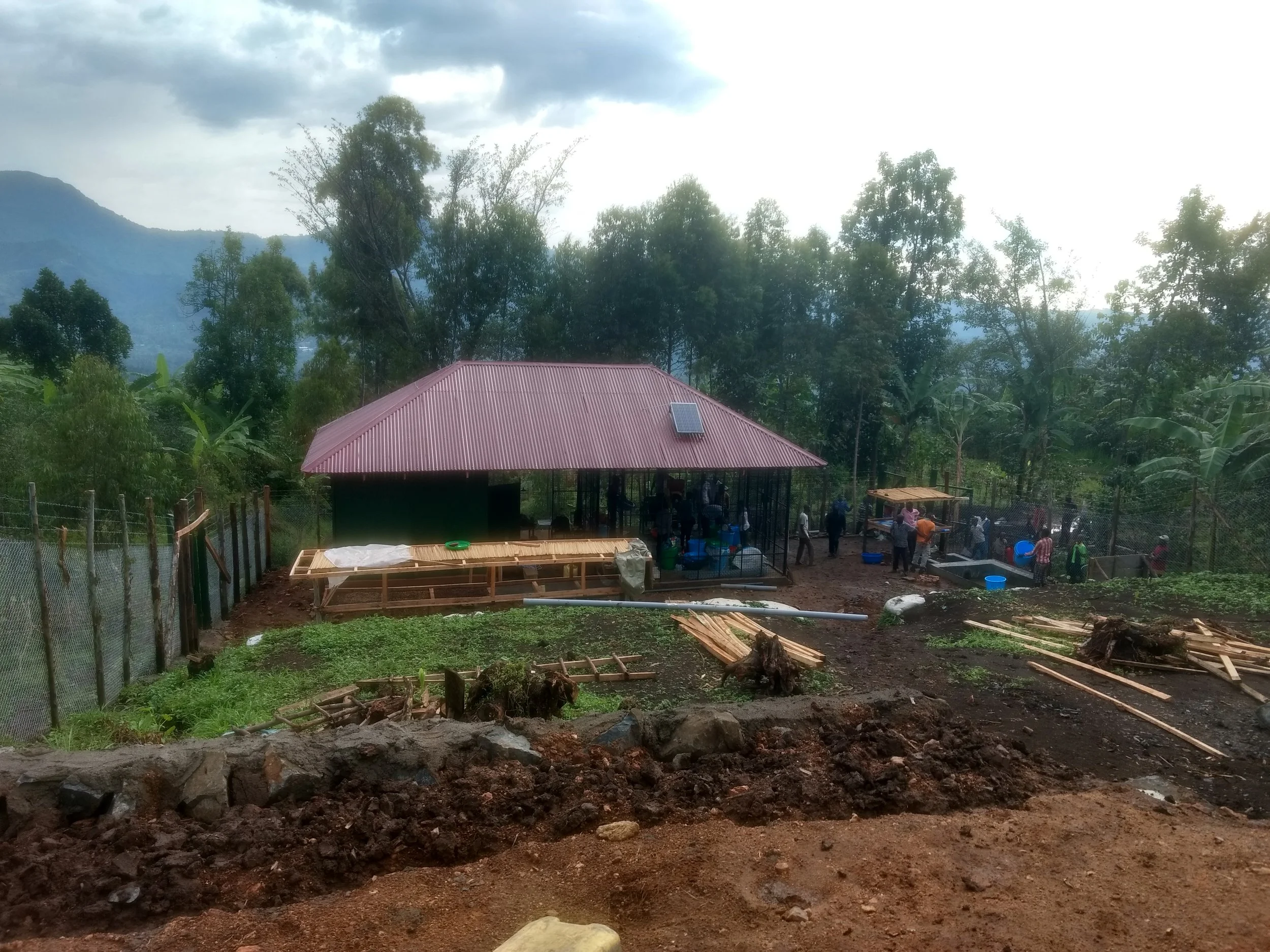 IMG_20181110_162142399_HDR.jpg