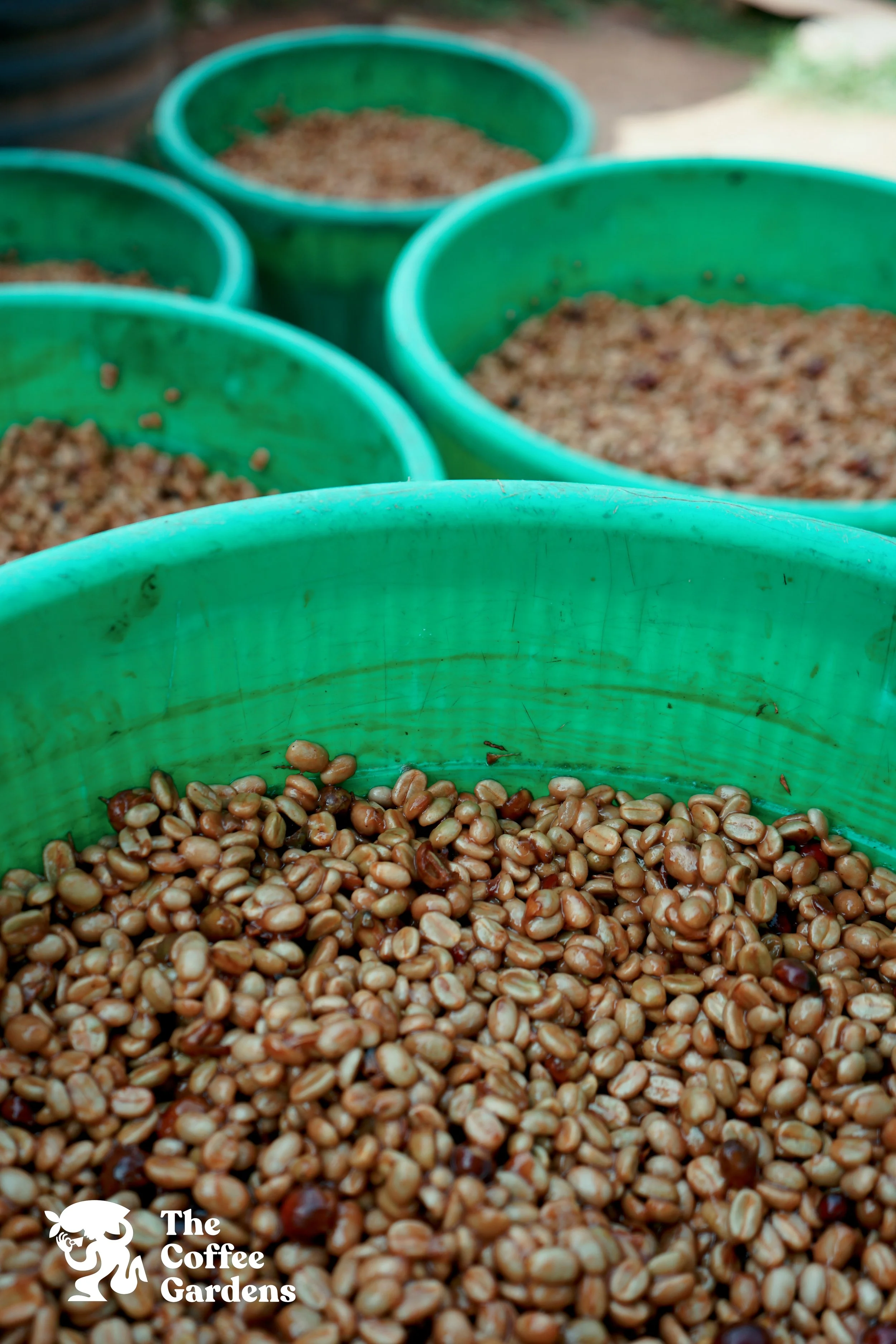 Honey Processing.jpg