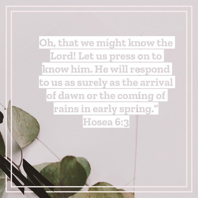 Pressing on to know Him. #hosea #thesunrosethismorning