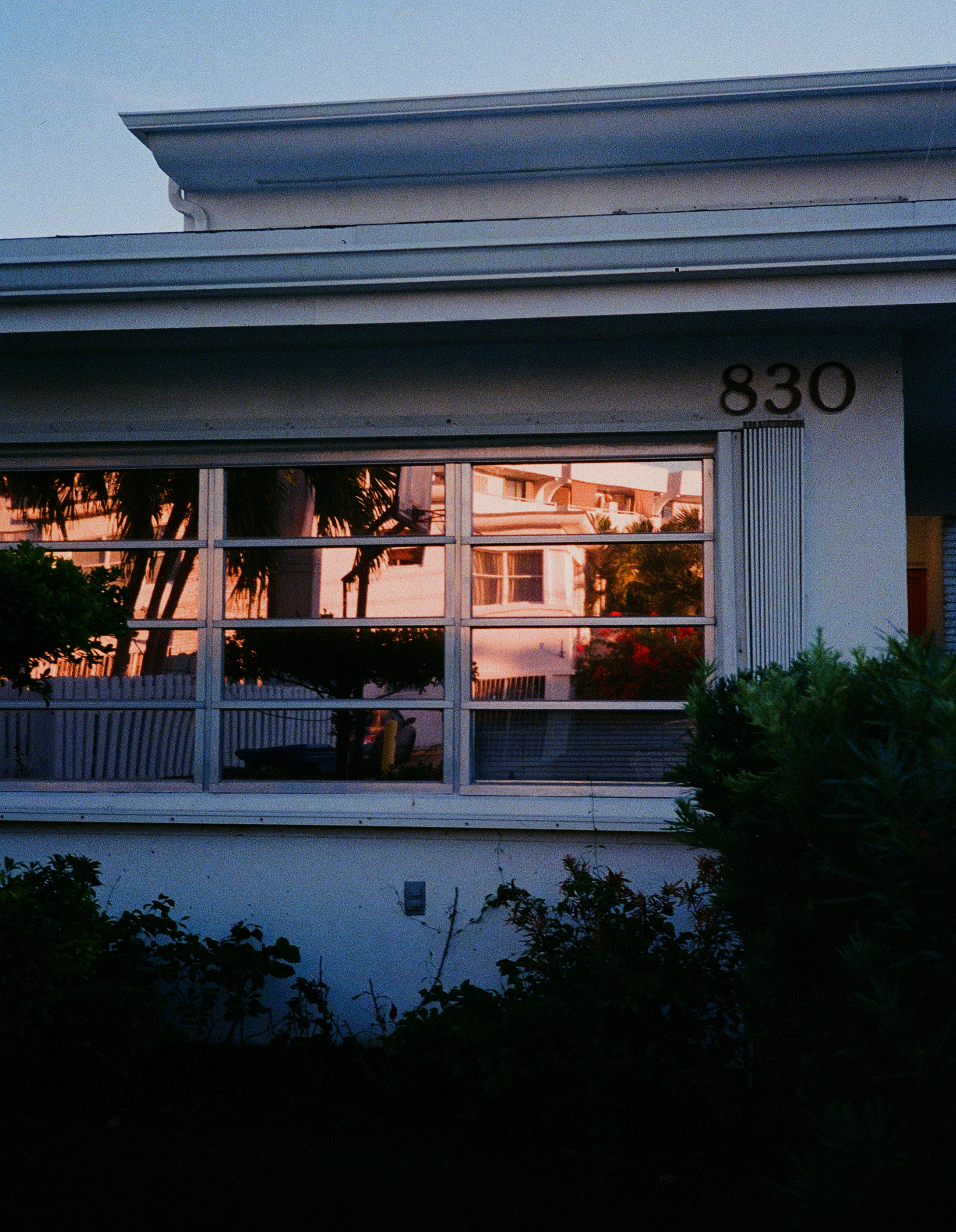 08320019.JPG