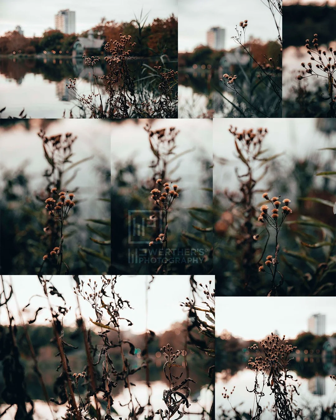 Fall October .jpg