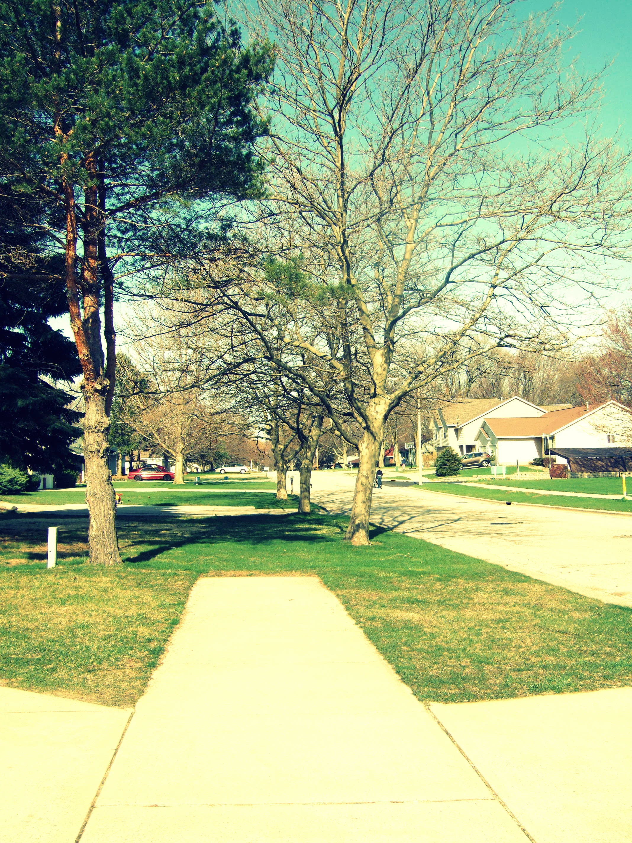 Paving a Path in Dental School (and Beyond)