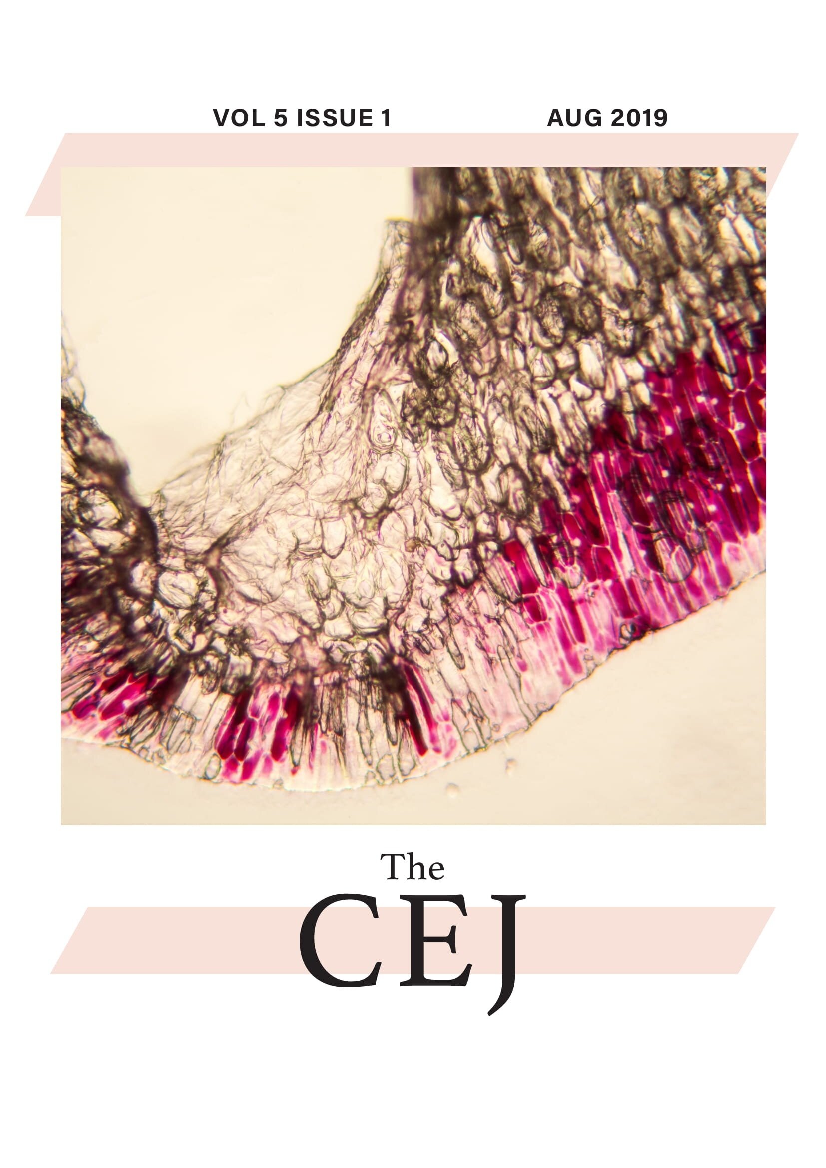 The CEJ (Vol 5 issue 1)