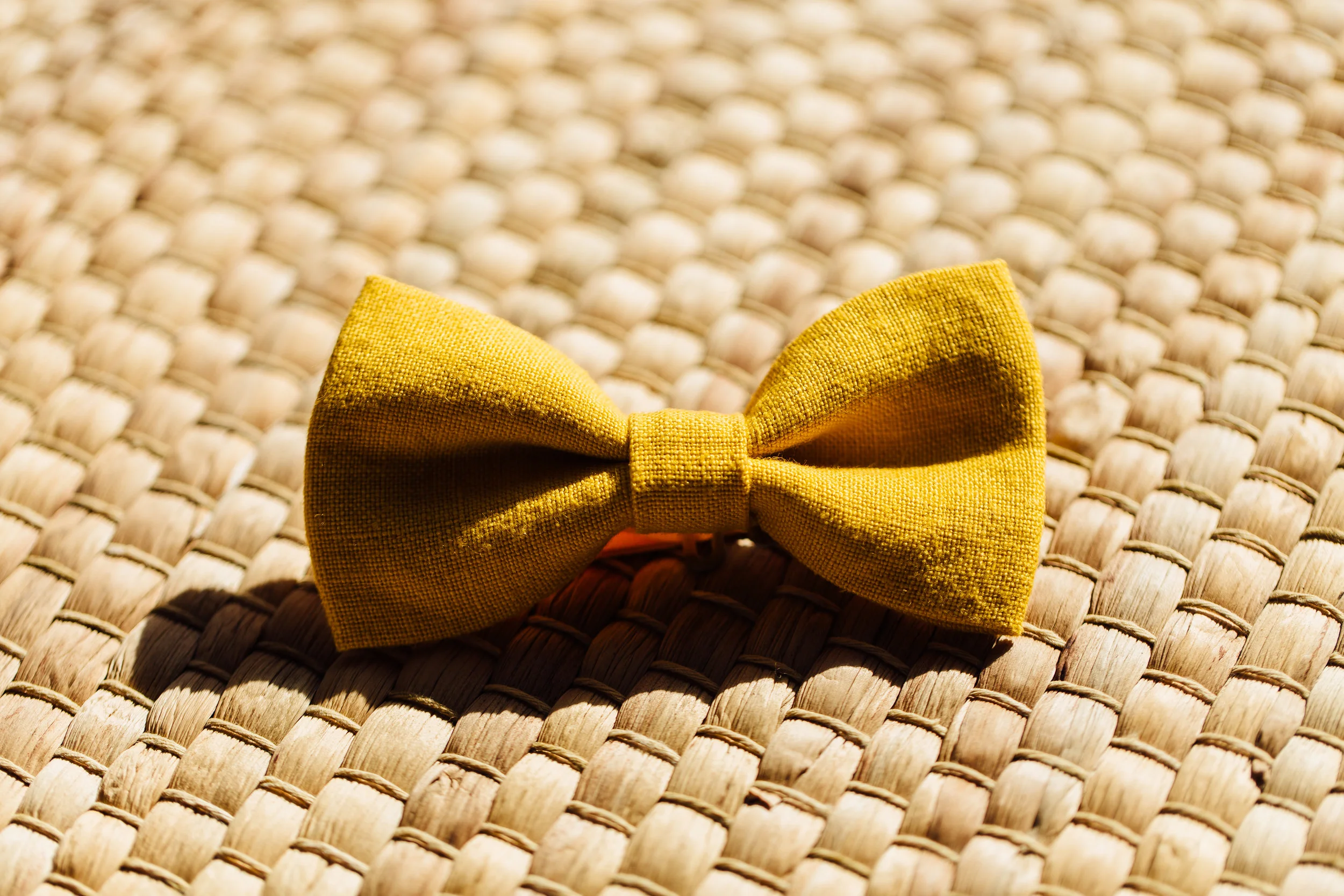 007A9530.jpg