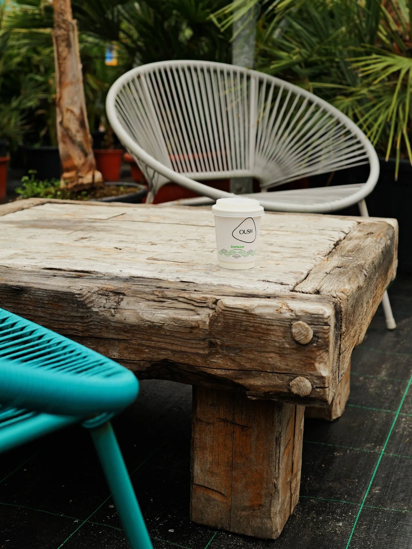 A coffee shop surrounded by plants&hellip; What a dream!! 

@oushfoods 
@mmplantsuk 
📍- Groomsport