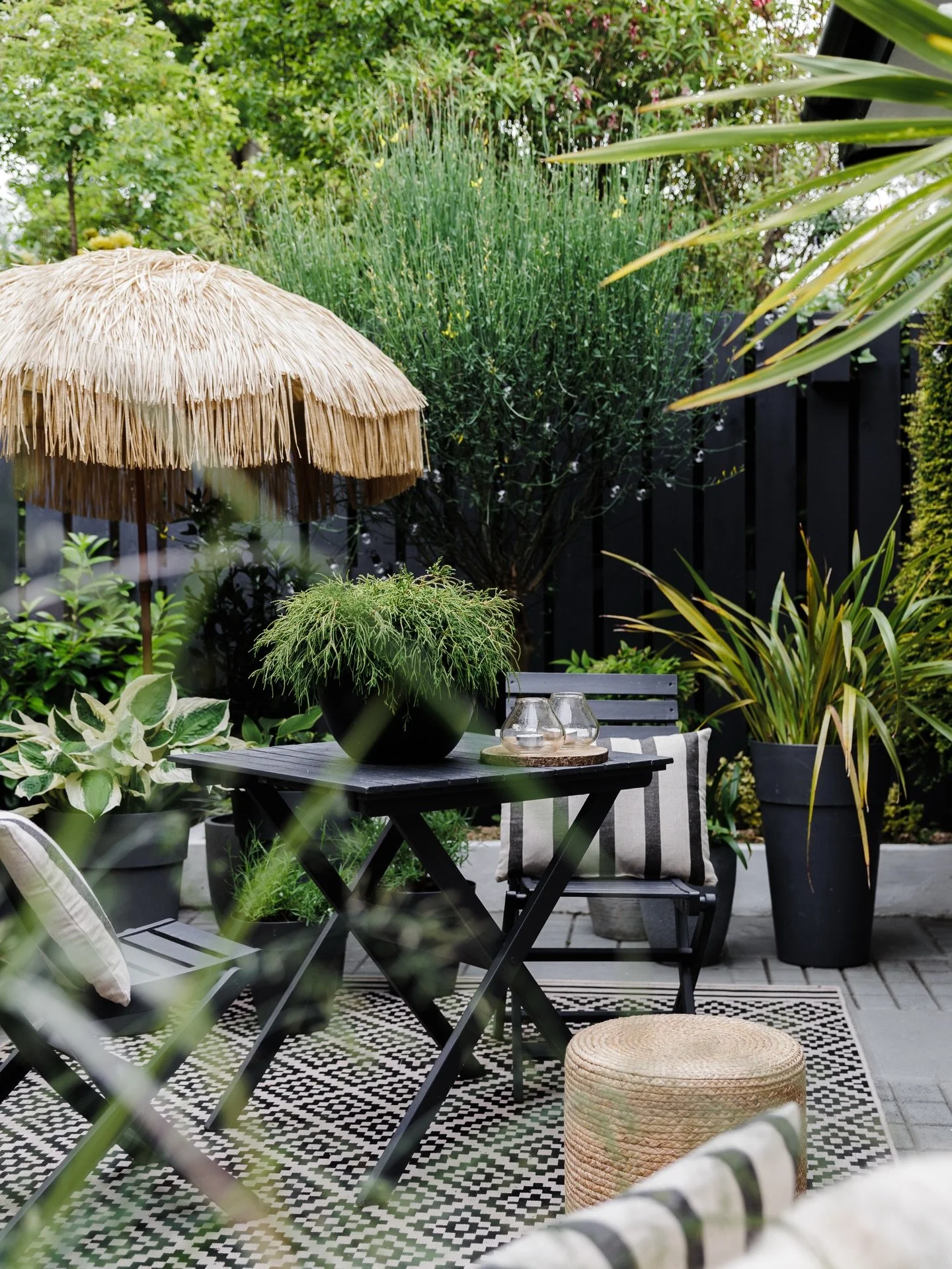A few garden details at @thestudiohelensbay - A beautiful Airbnb in Helens Bay.