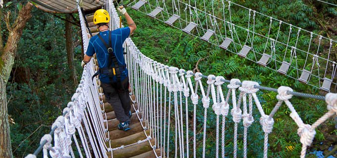 Kohala Canopy Zipline Tour - $215.00 per person