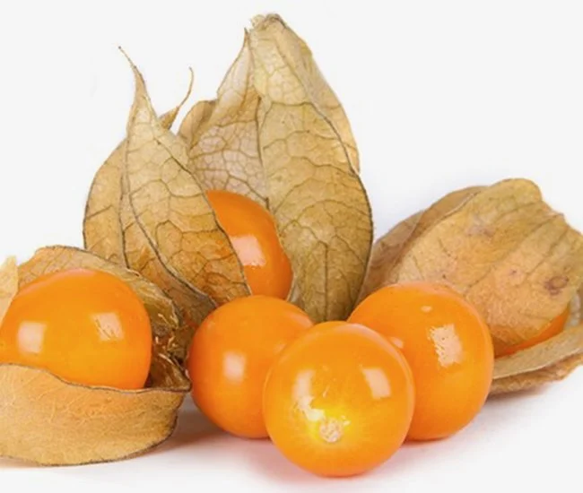 ground-cherry-aunts-molly.jpeg