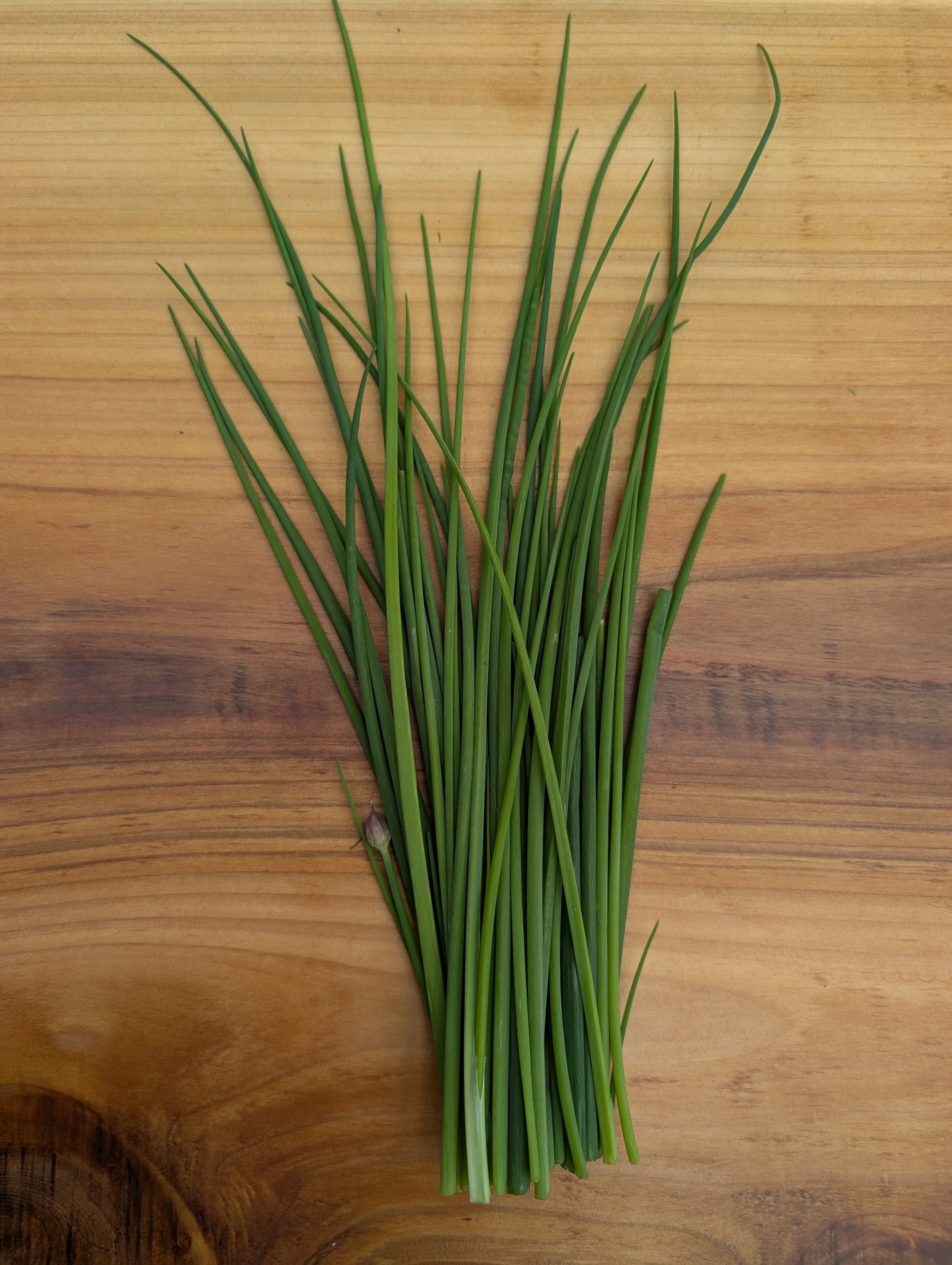 Chives (~100g)