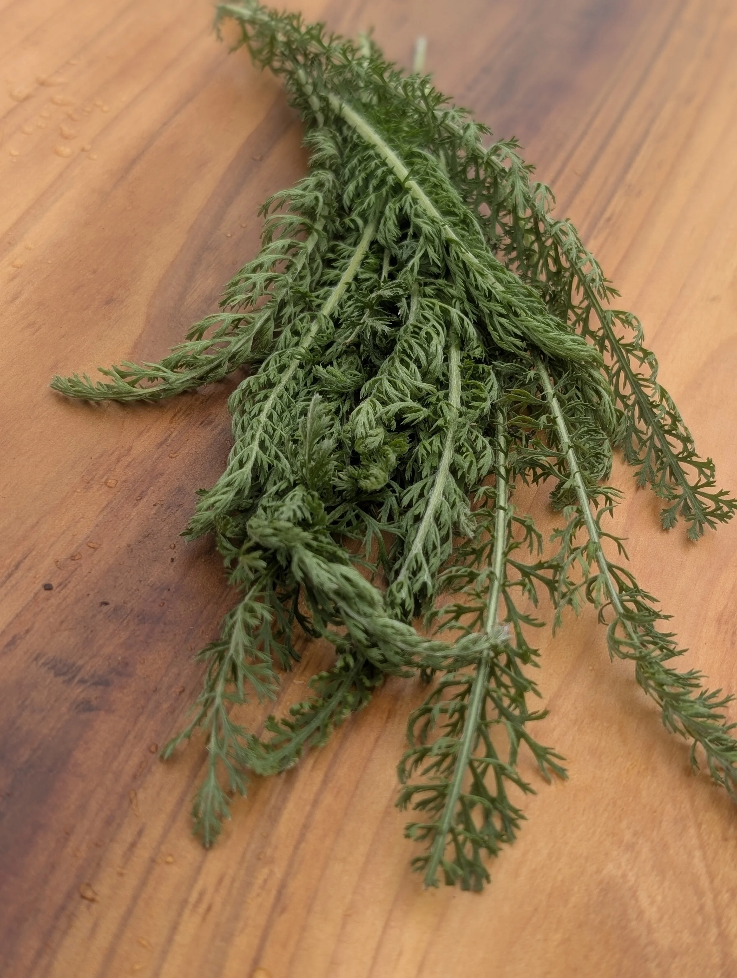 Yarrow (~50g)