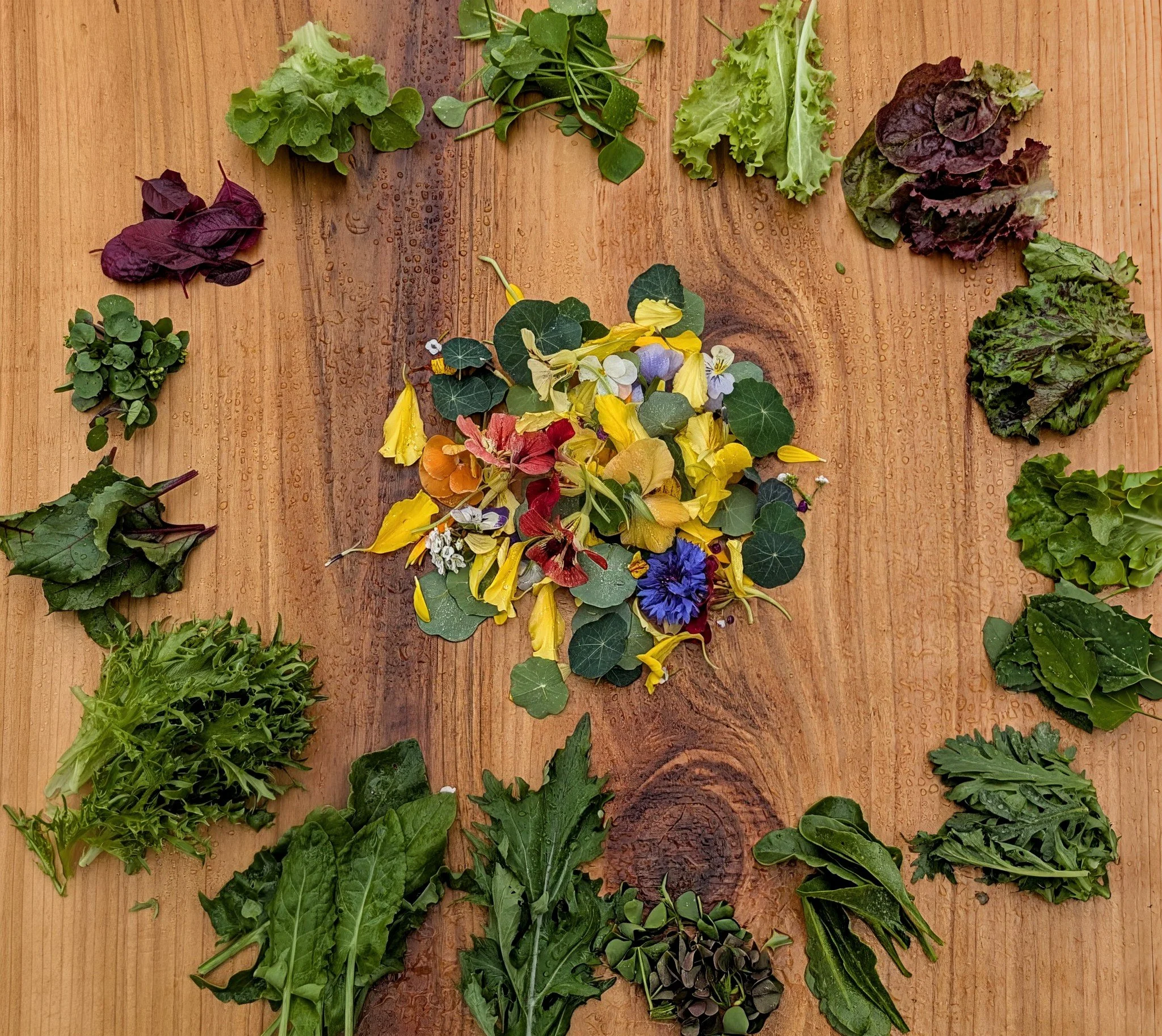 Salad Mix (~300g)