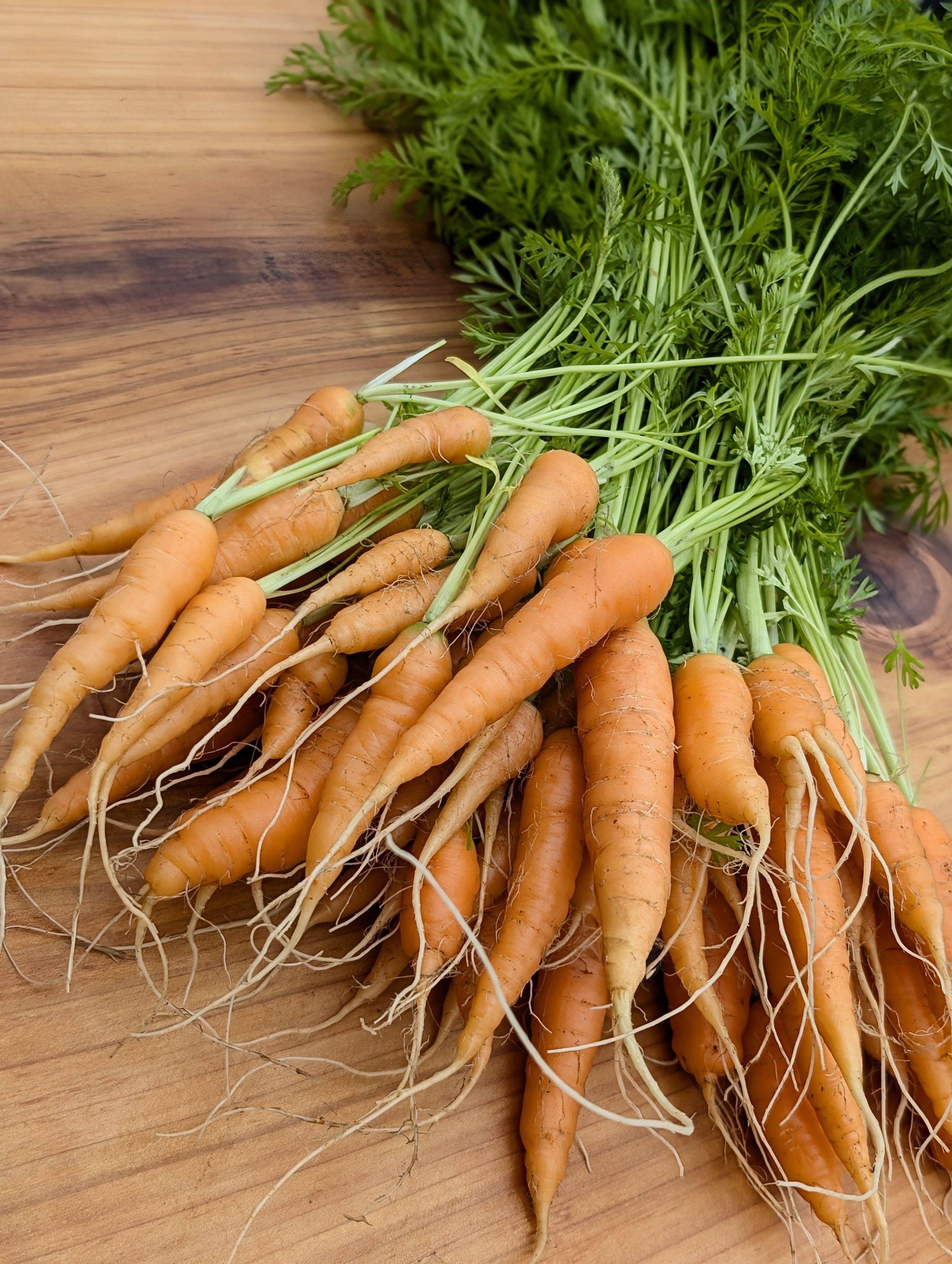 Baby Carrots (~250g)