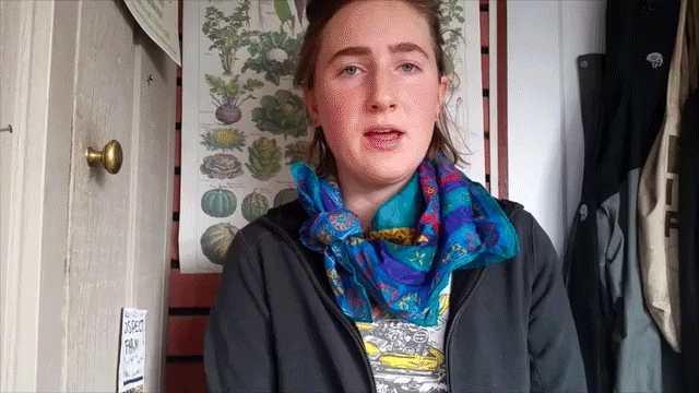 bg-video2be.gif