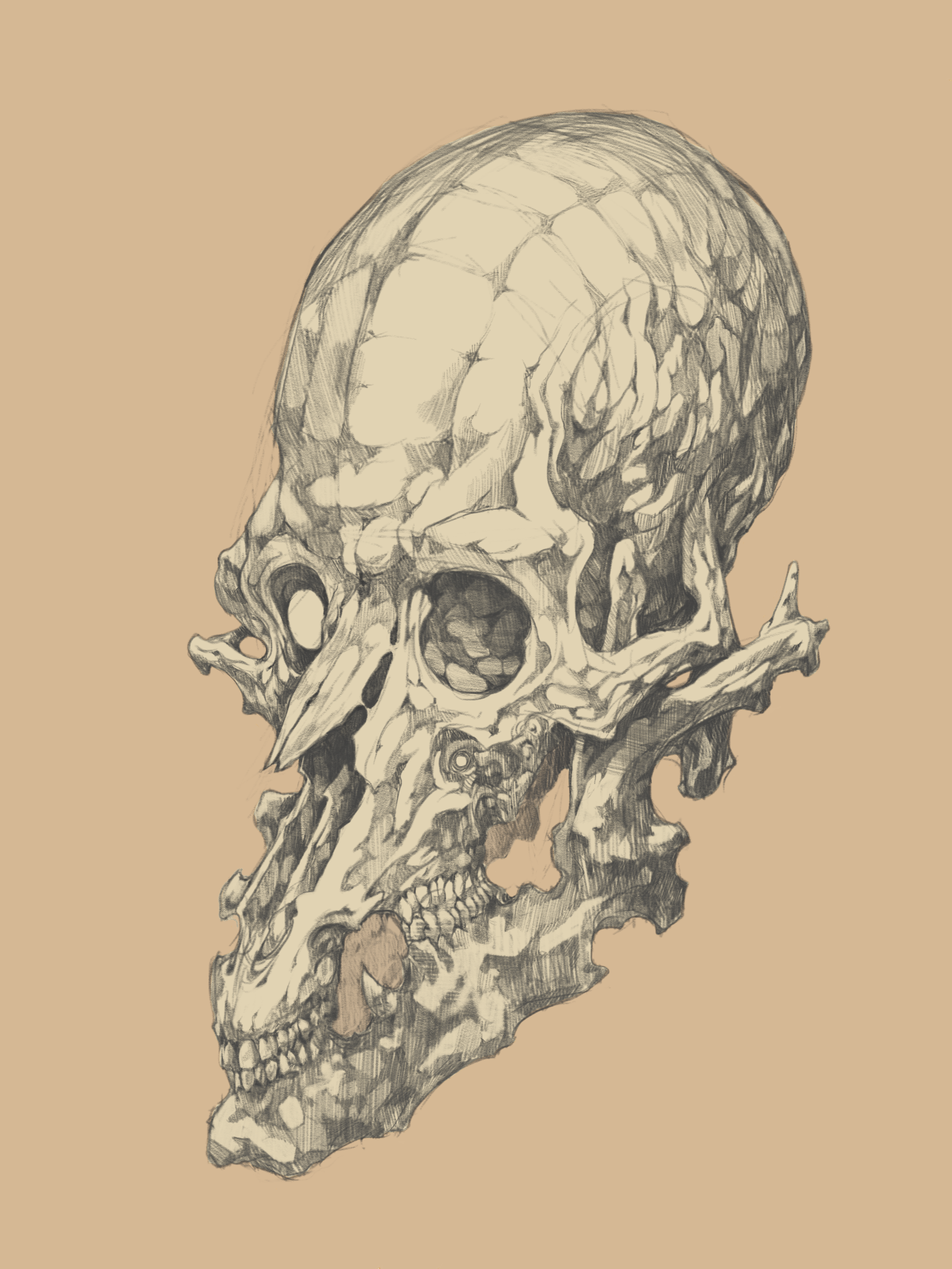 alien skull.PNG