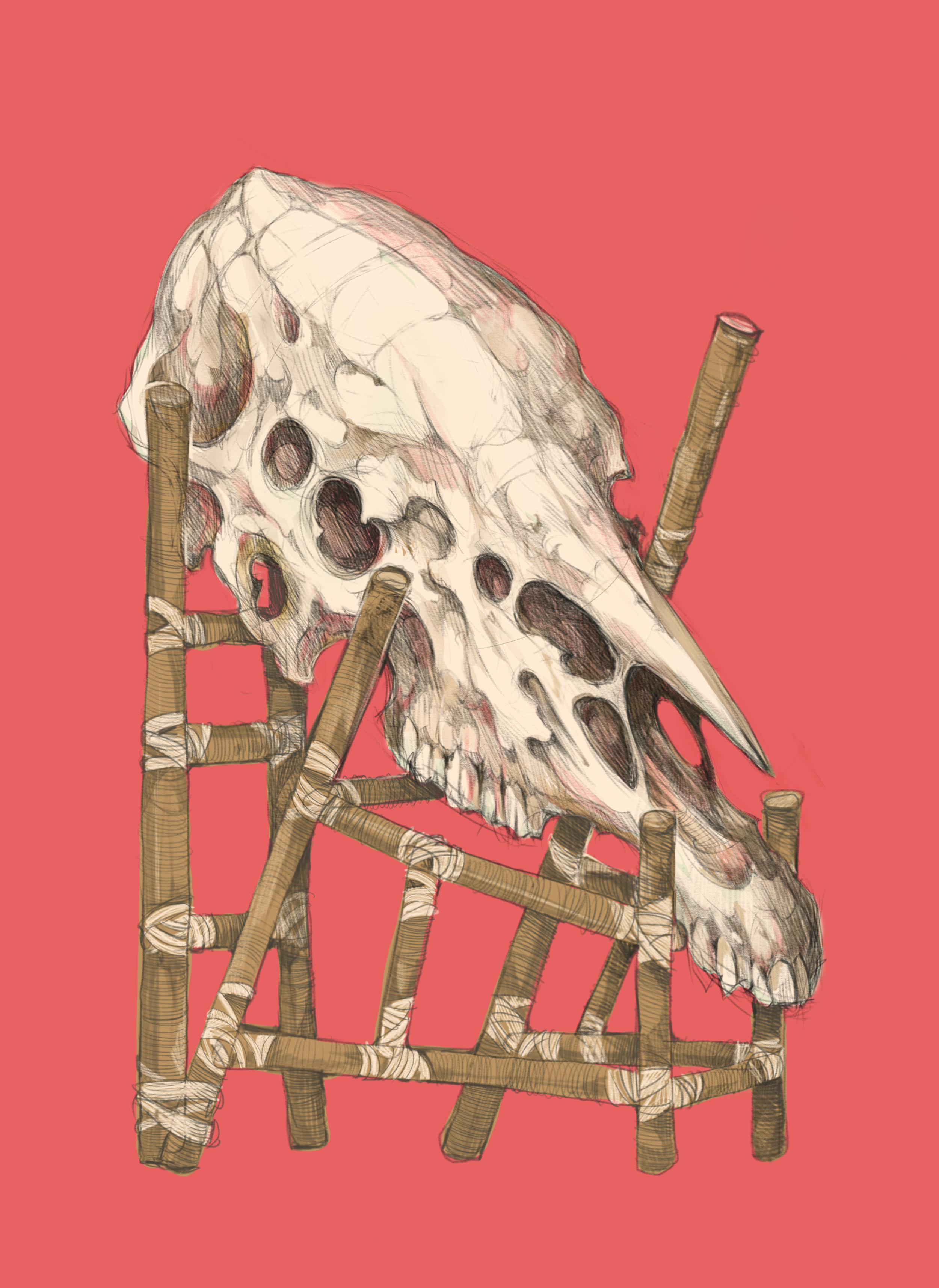 skull frame.PNG