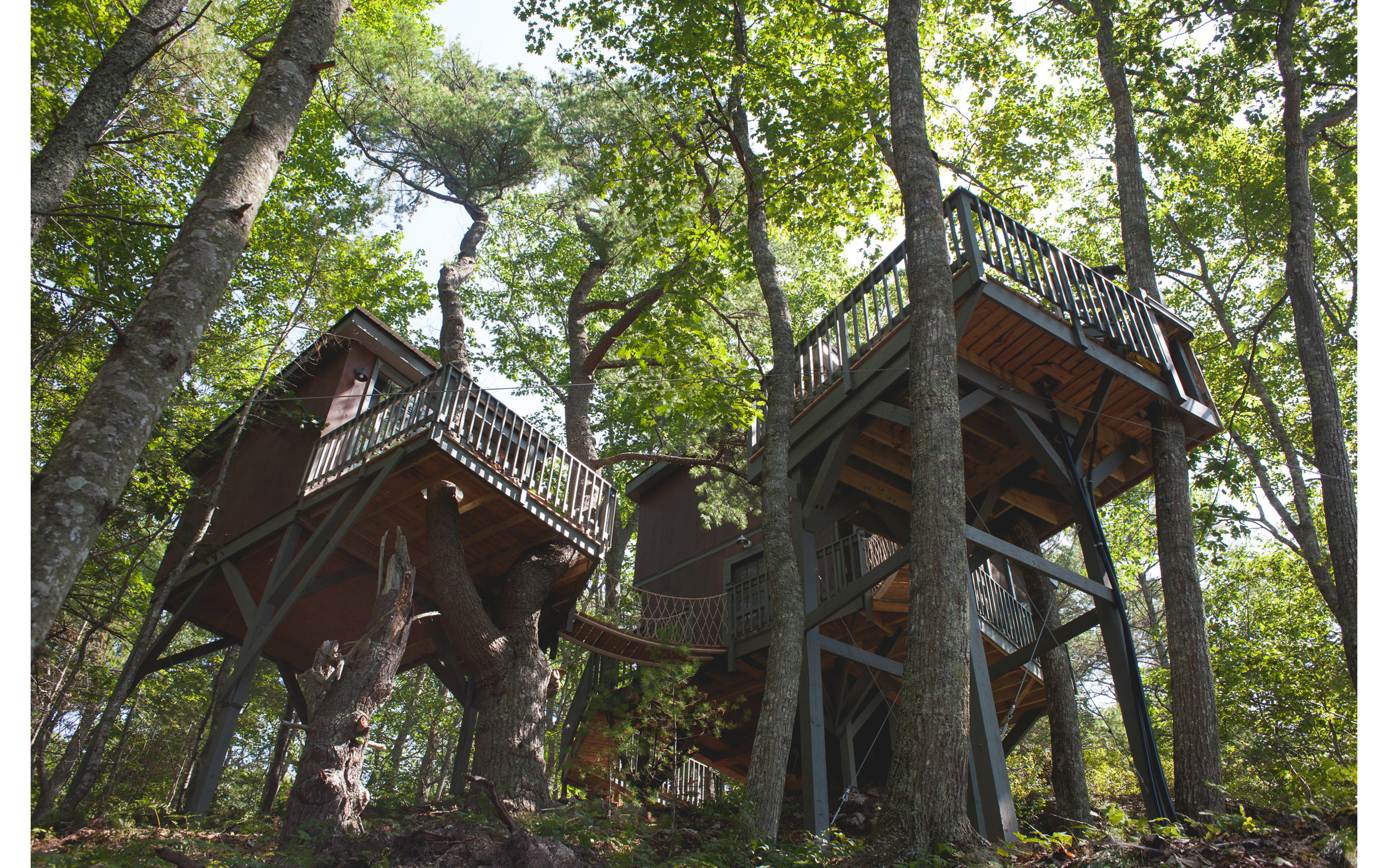 Seguin Tree Dwellings. Experience the airiness of life among the pines.